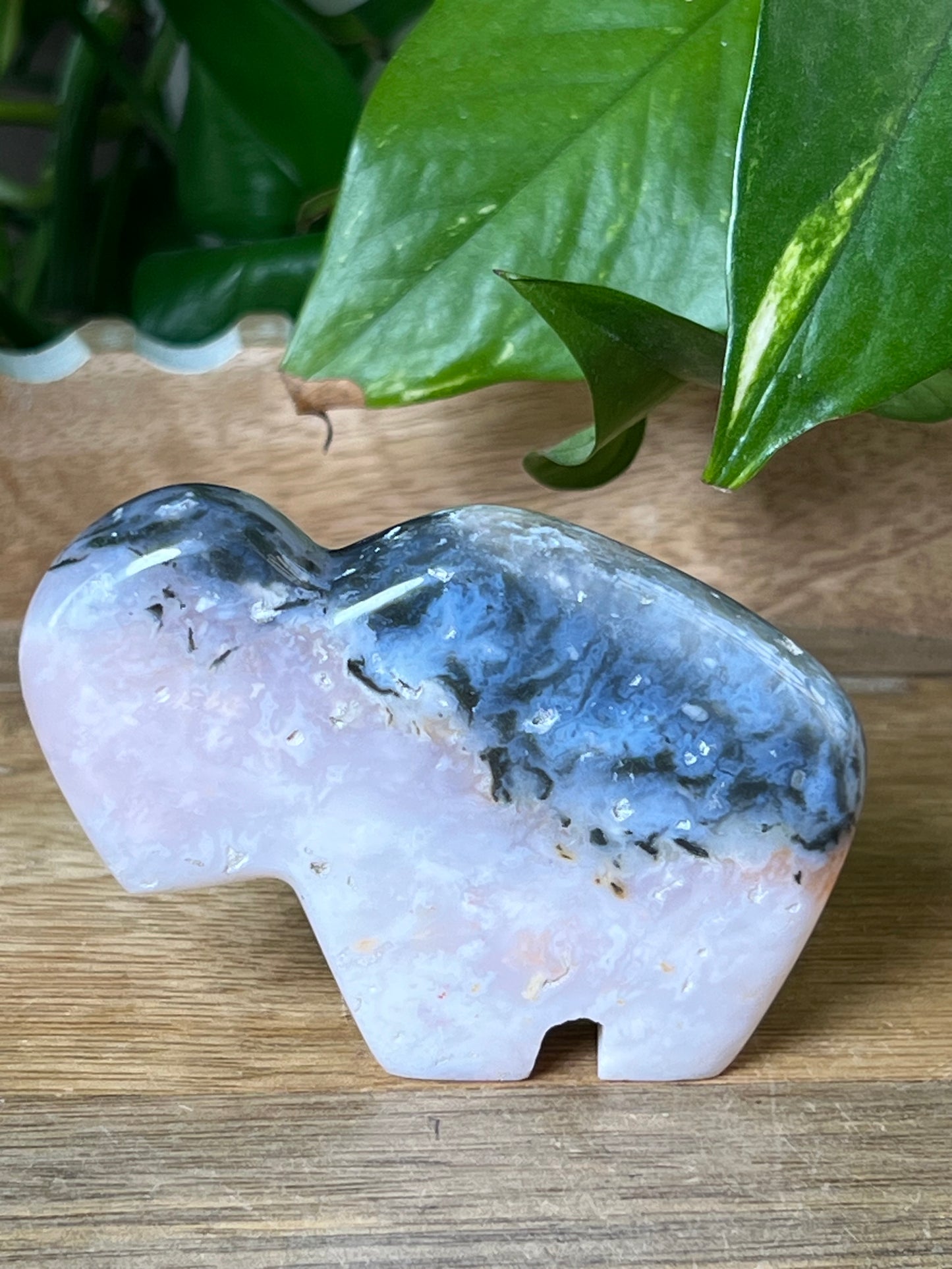 Rainbow Plume Agate Buffalo