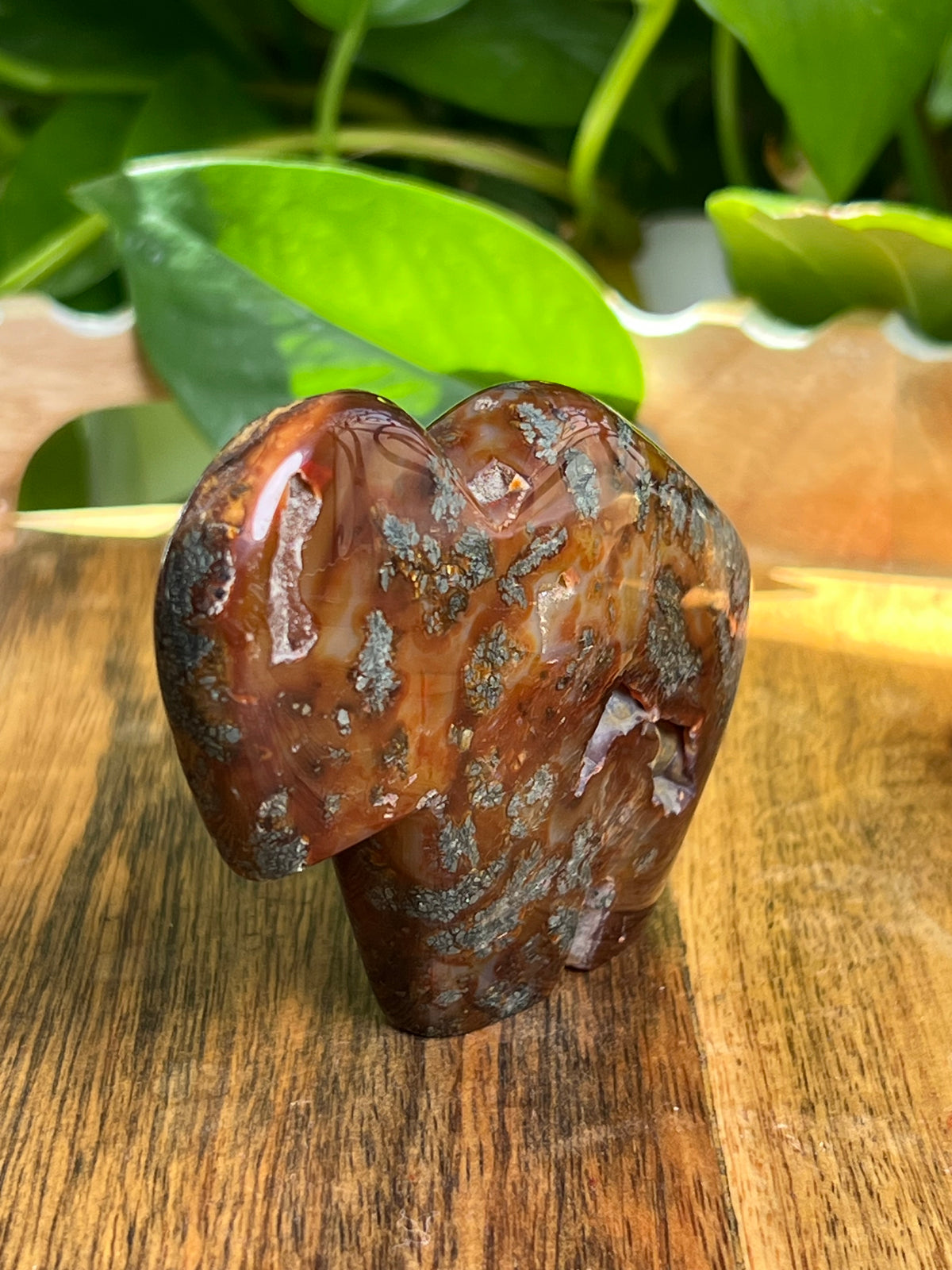 Marcasite Buffalo: CB
