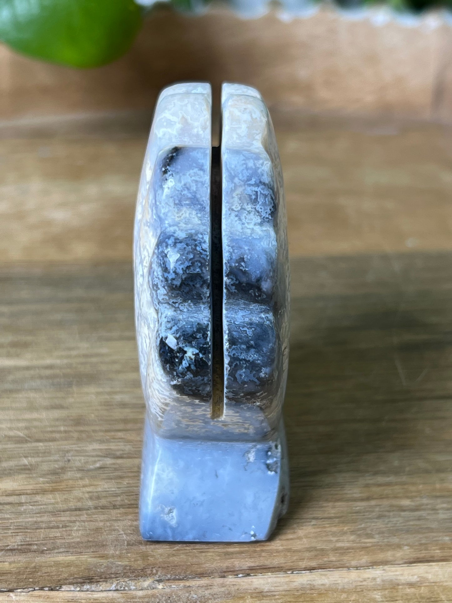 Blue Plume Agate Shell