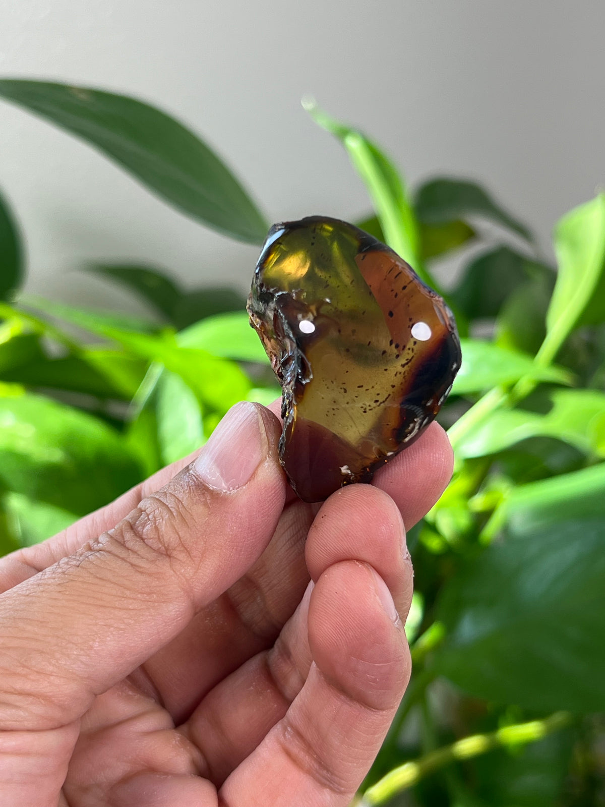 Blue Amber Freeform
