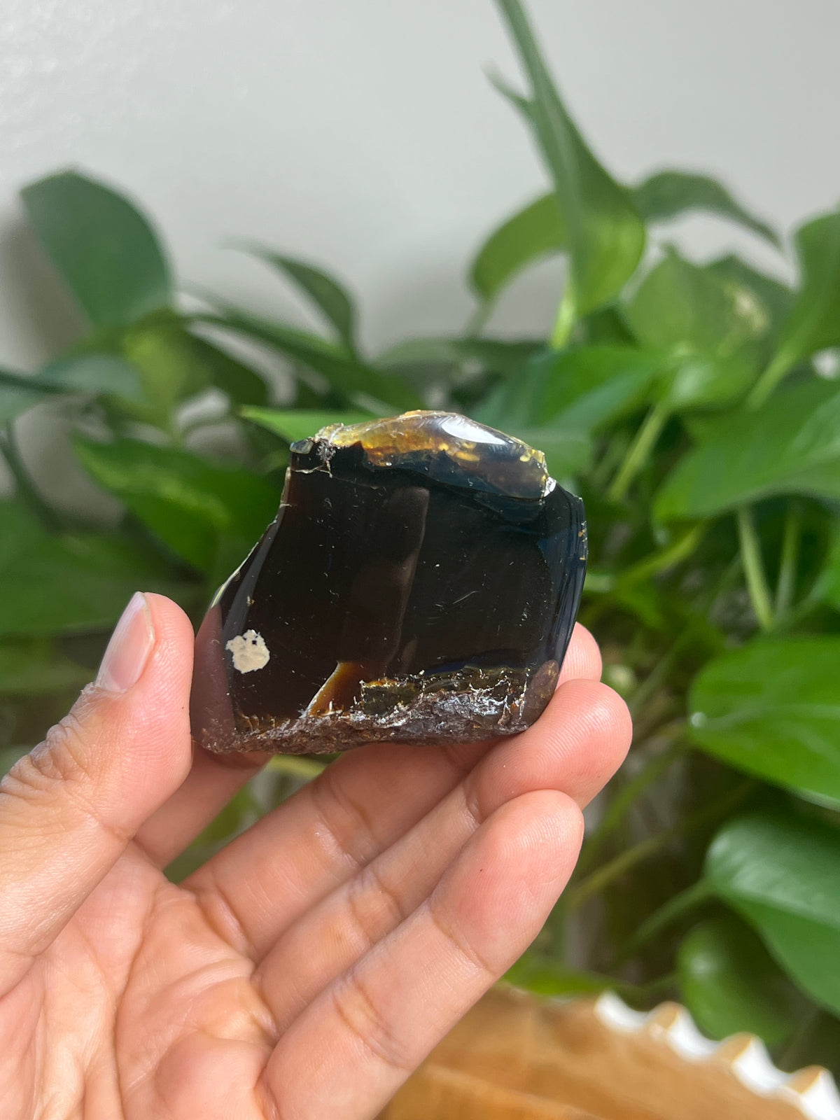 Blue Amber Freeform: SK
