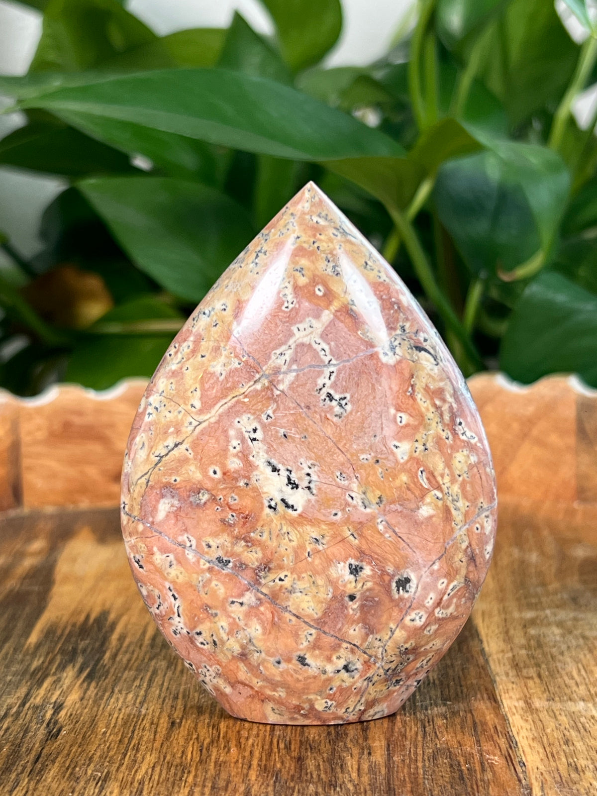 Peachy Pink Dendritic Jasper Flame: NA