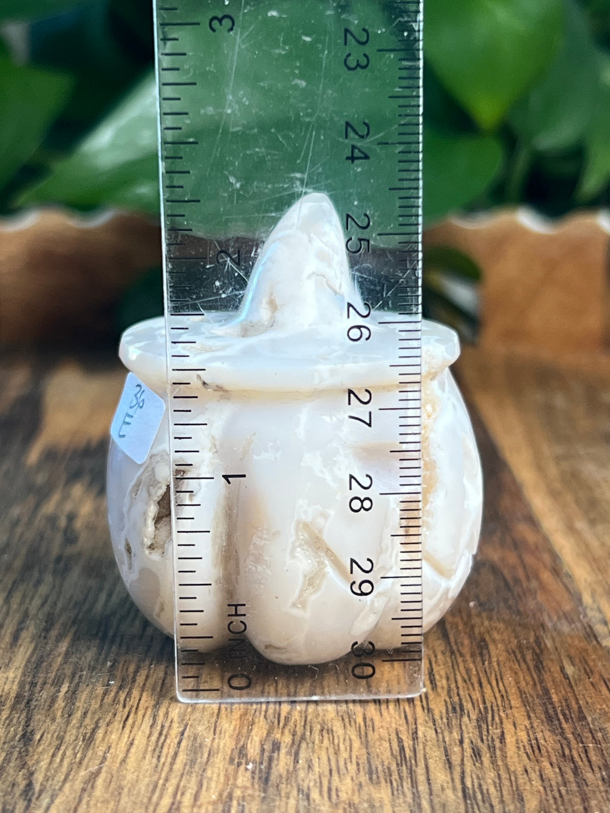 White Plume Agate Pumpkin: E