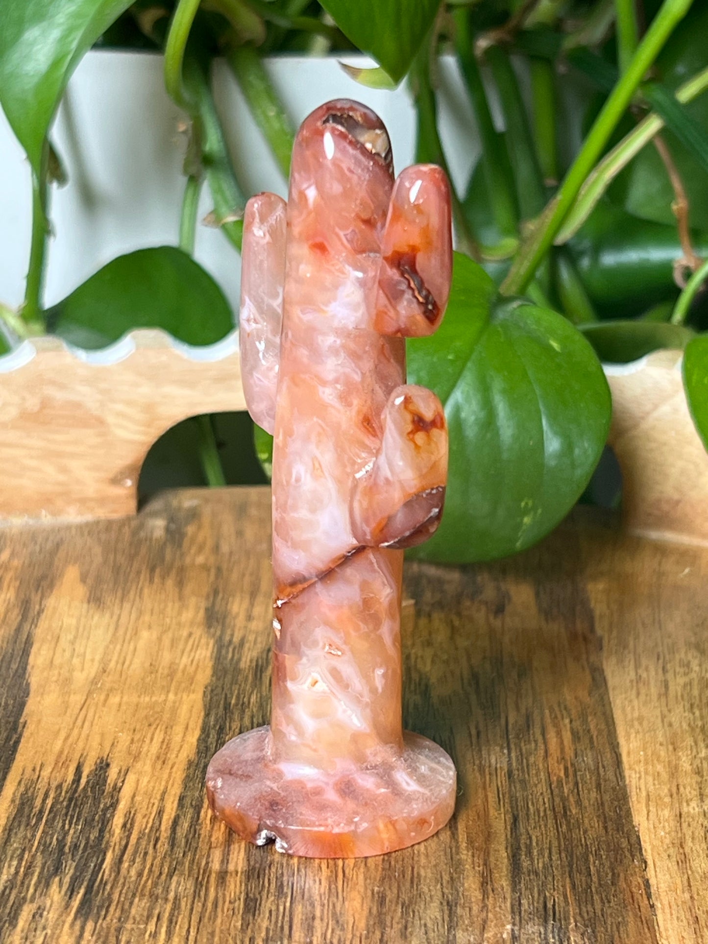 Pink Carnelian Cactus
