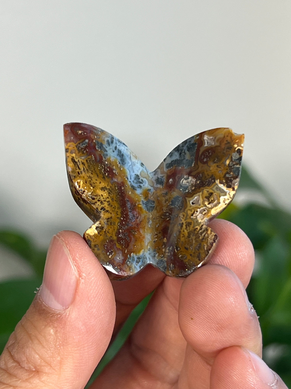 Marcasite 3D Mini Butterflies
