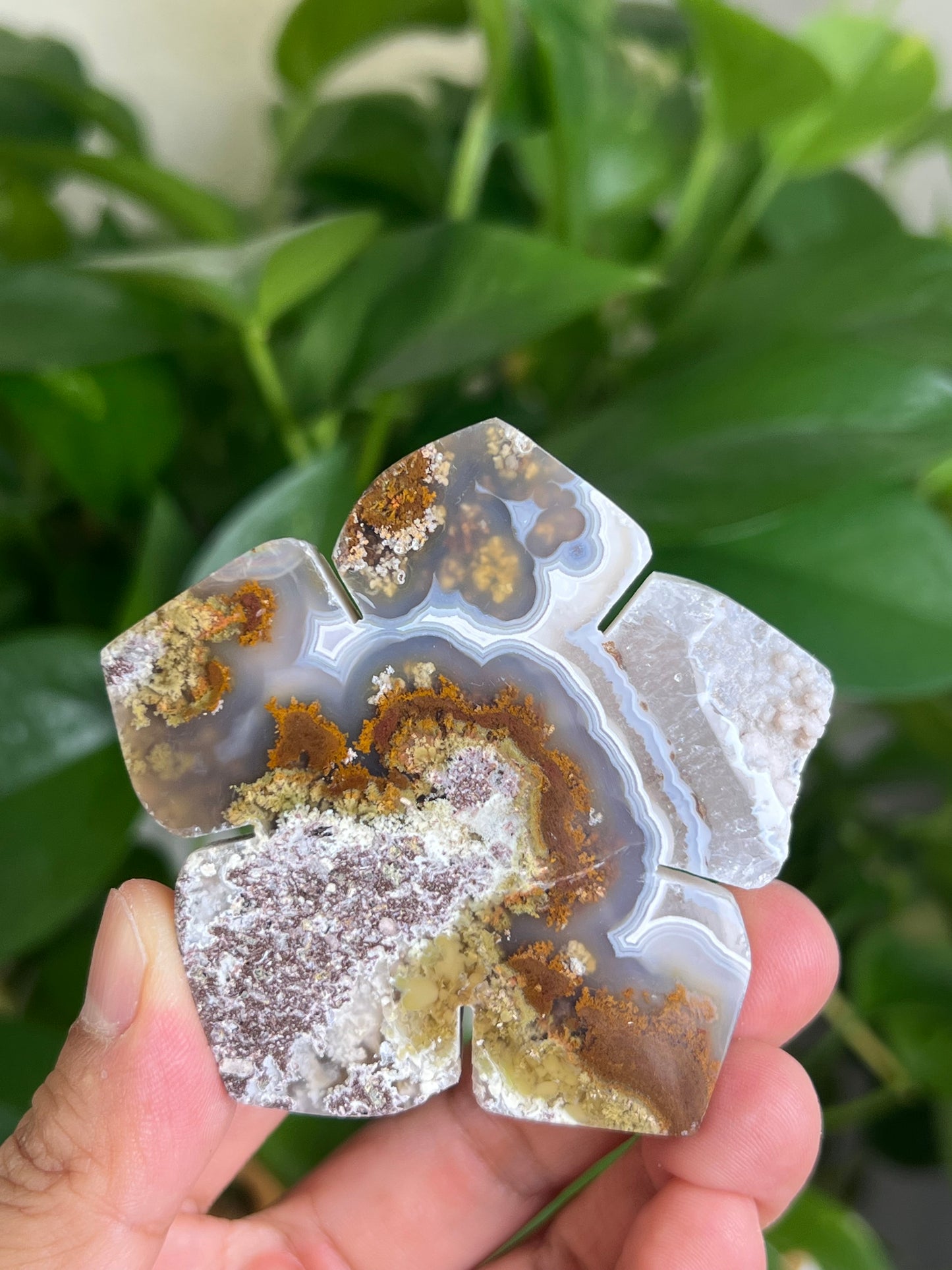 Scenic Moss Agate Flower PB