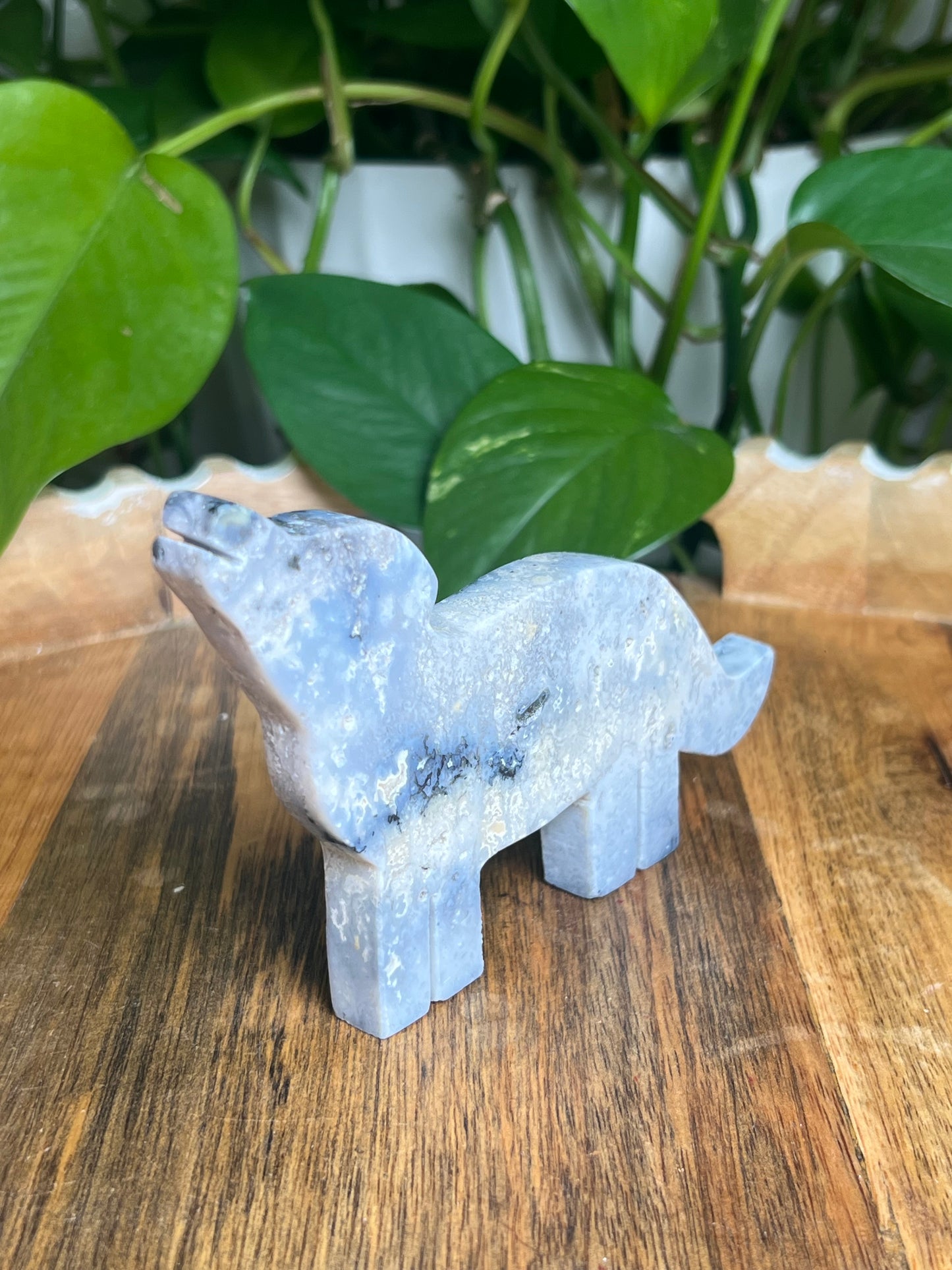 Blue Plume Agate Wolf: B