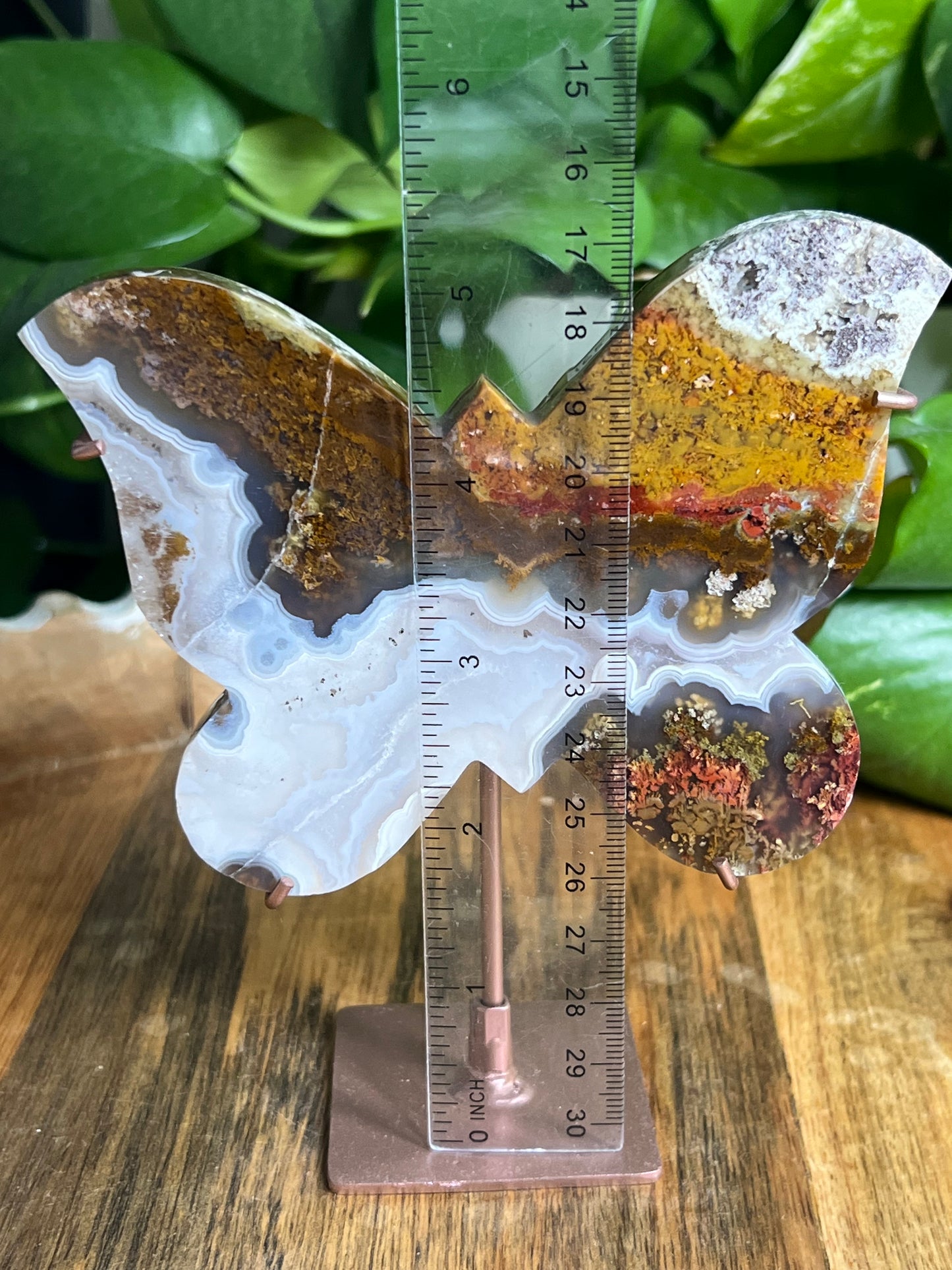 Scenic Moss Agate Butterfly