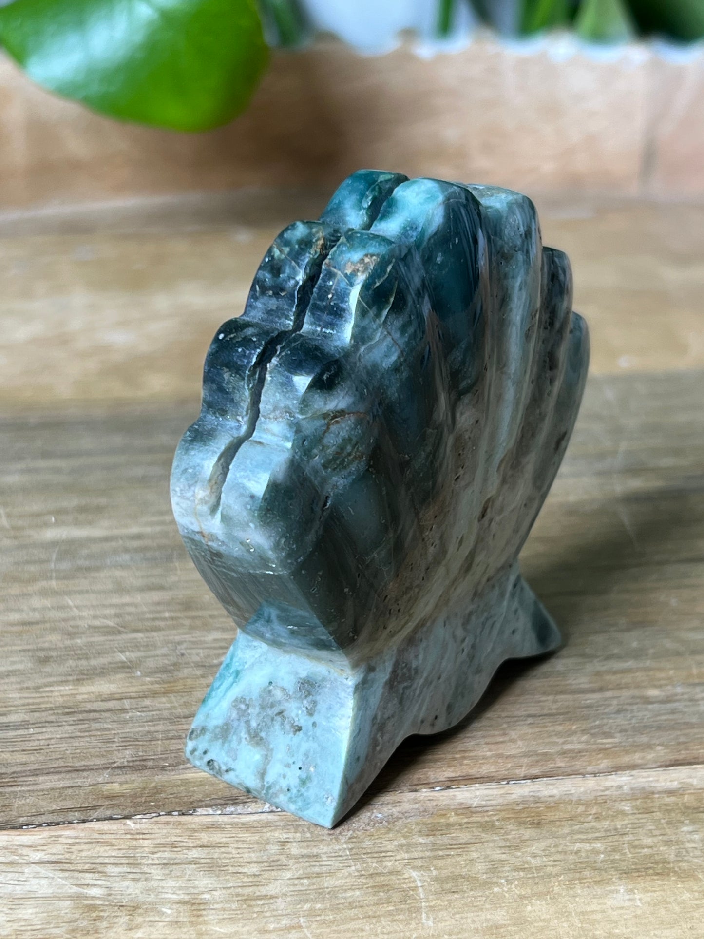 Blue Green Jasper Shell