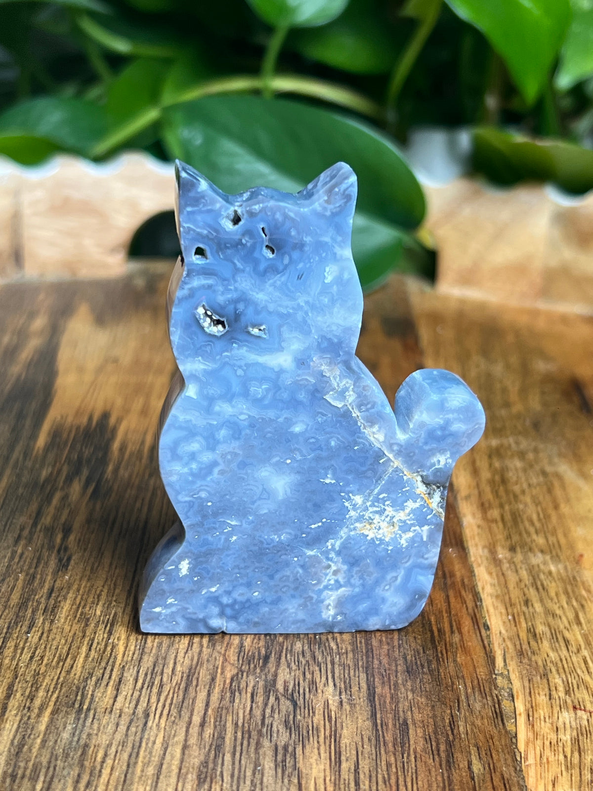 Blue Plume Agate Cat: BA