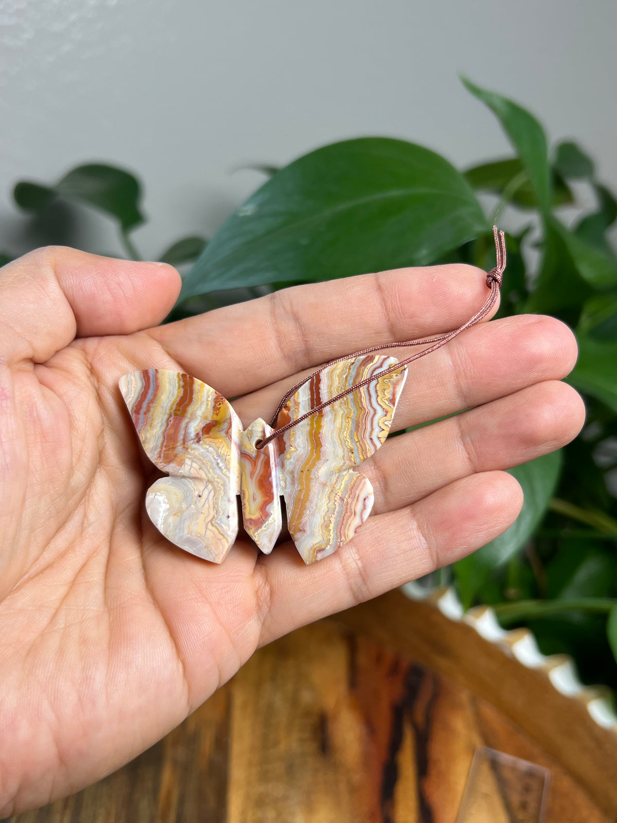 Crazy Lace Agate Ornament Butterfly:  BA