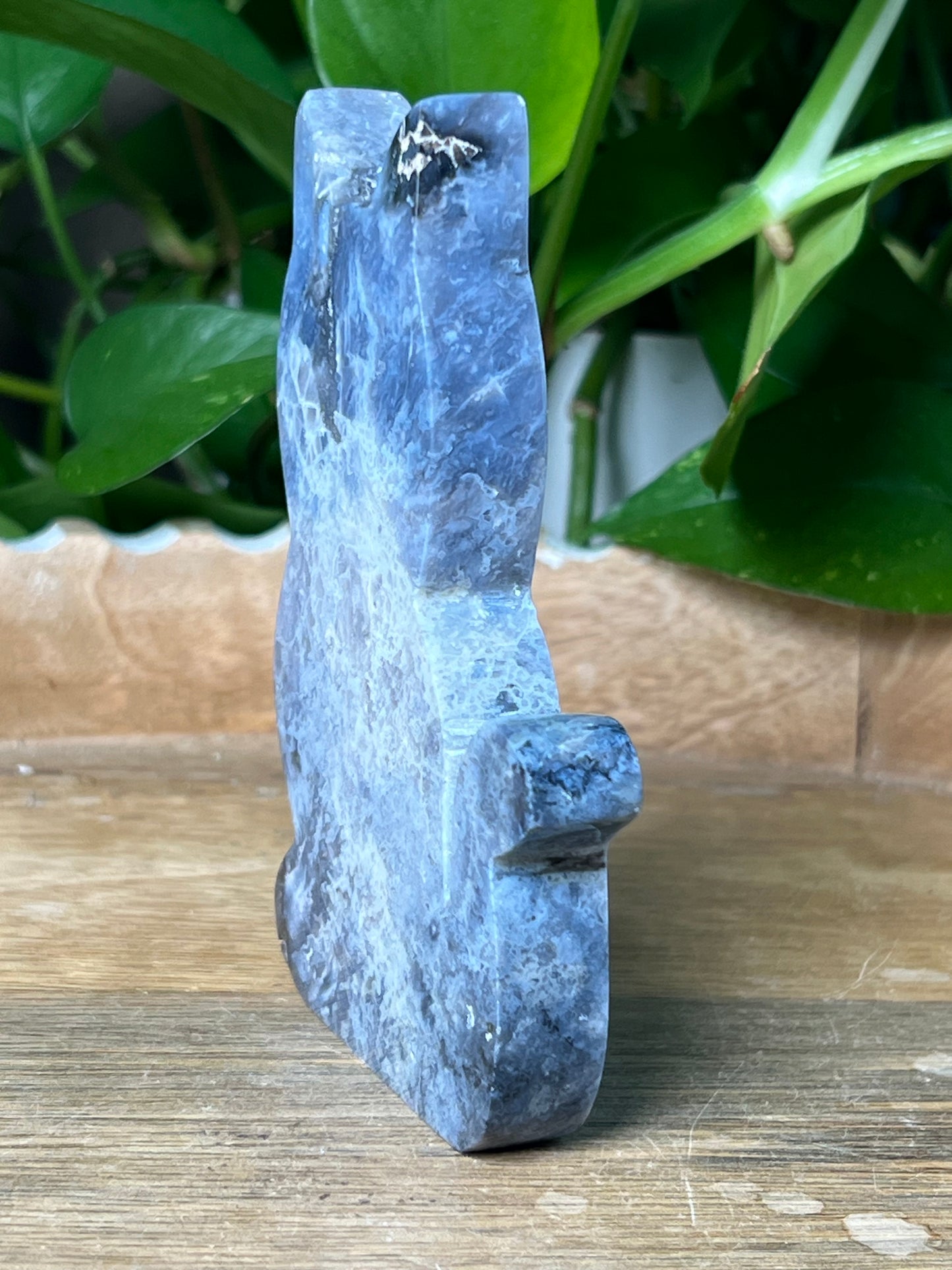 Blue Plume Agate Cat