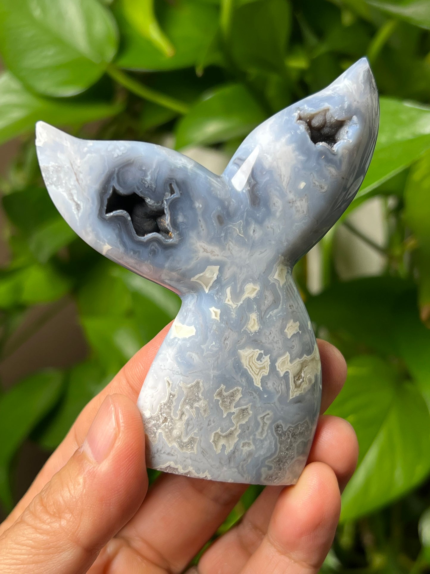 Blue Plume Agate Tail