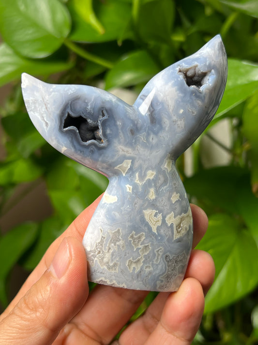 Blue Plume Agate Tail