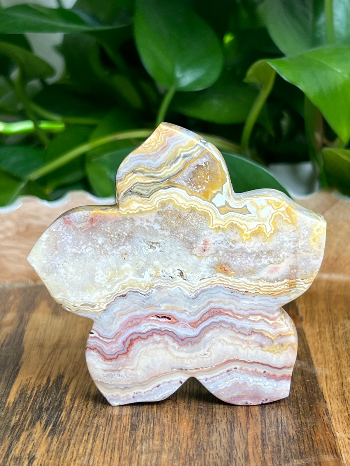 Crazy Lace Agate Flower: CA