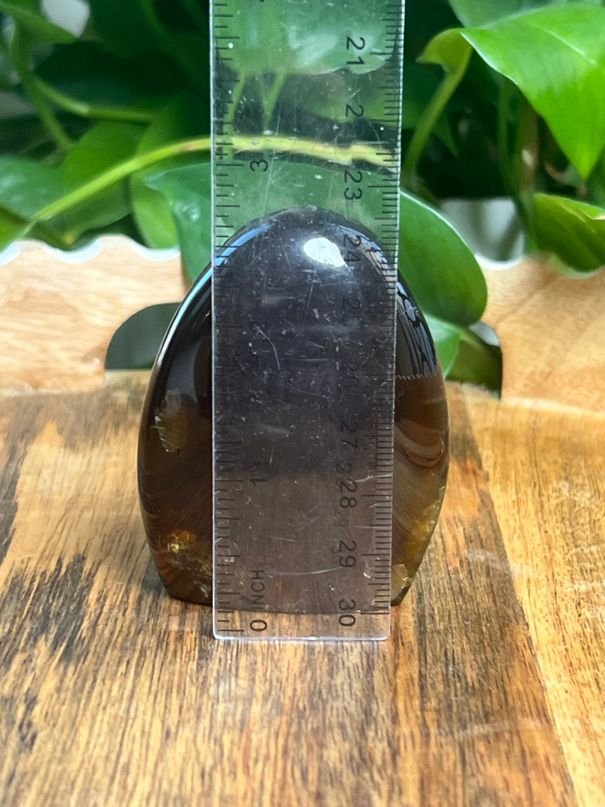 Blue Amber Freeform: Y