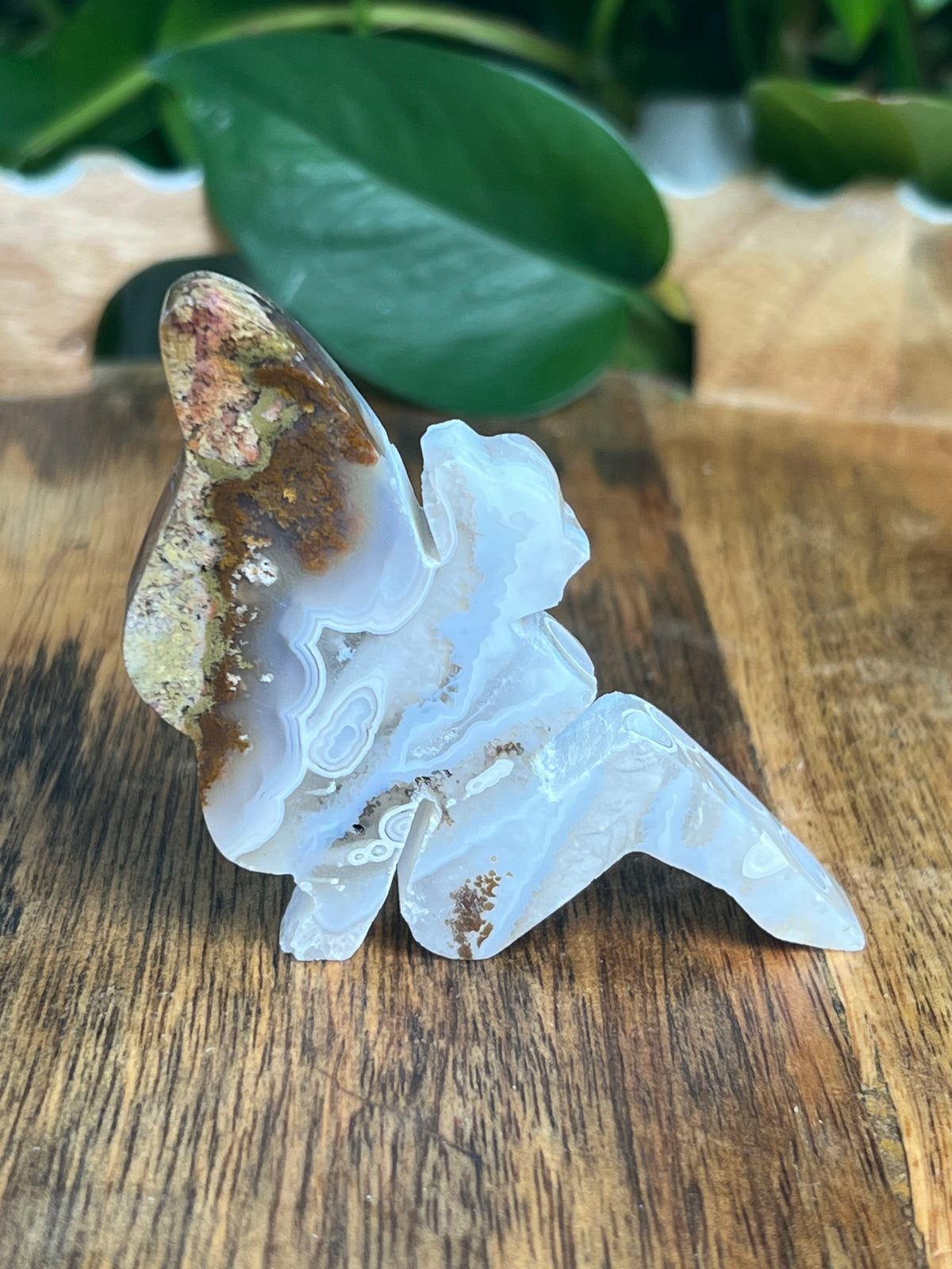 Scenic Moss Agate Pixie Fairy: H