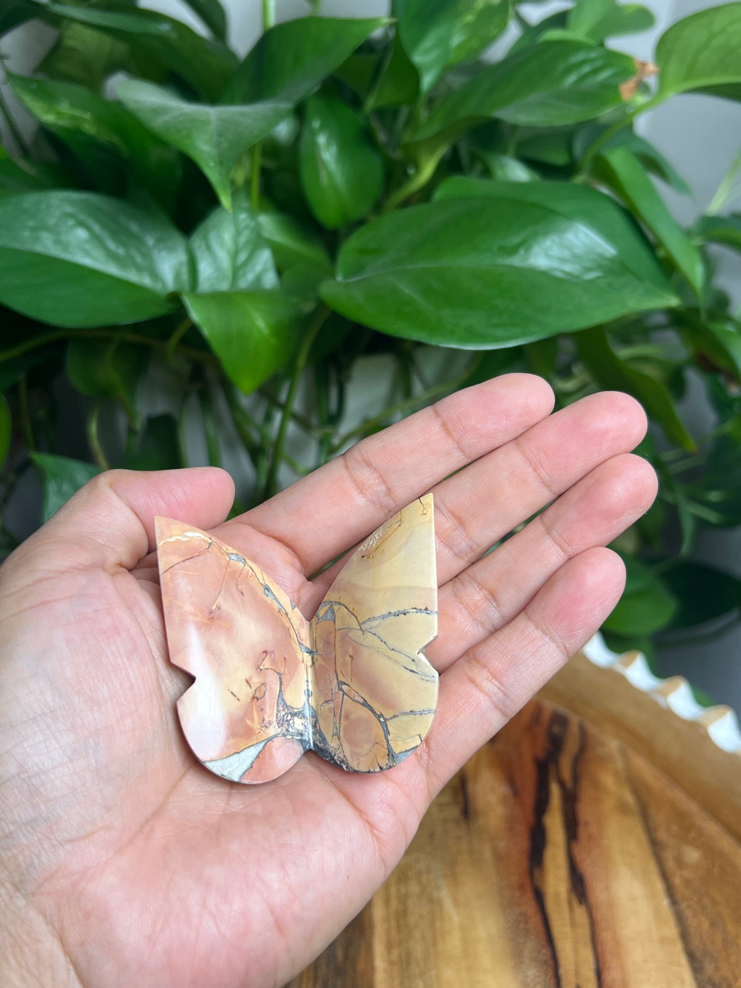 Maligano 3D Butterfly: AJ