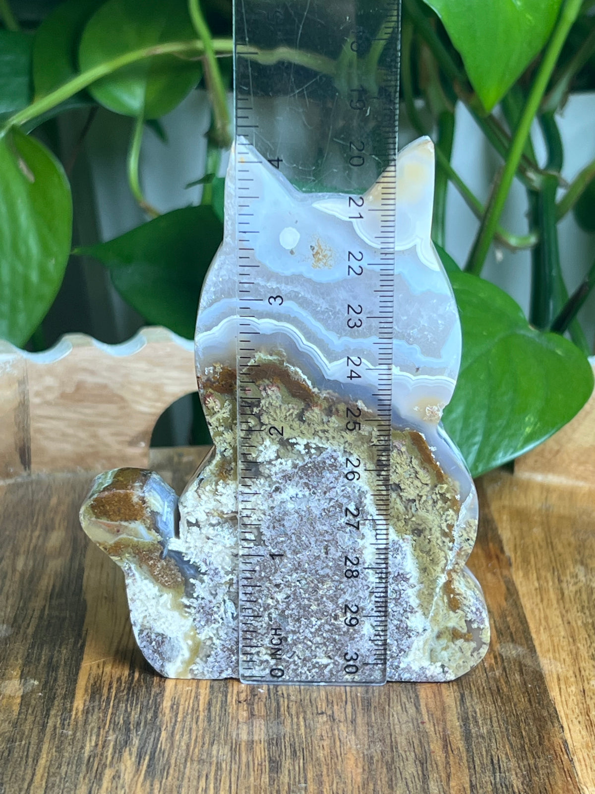 Scenic Moss Agate Cat: AD