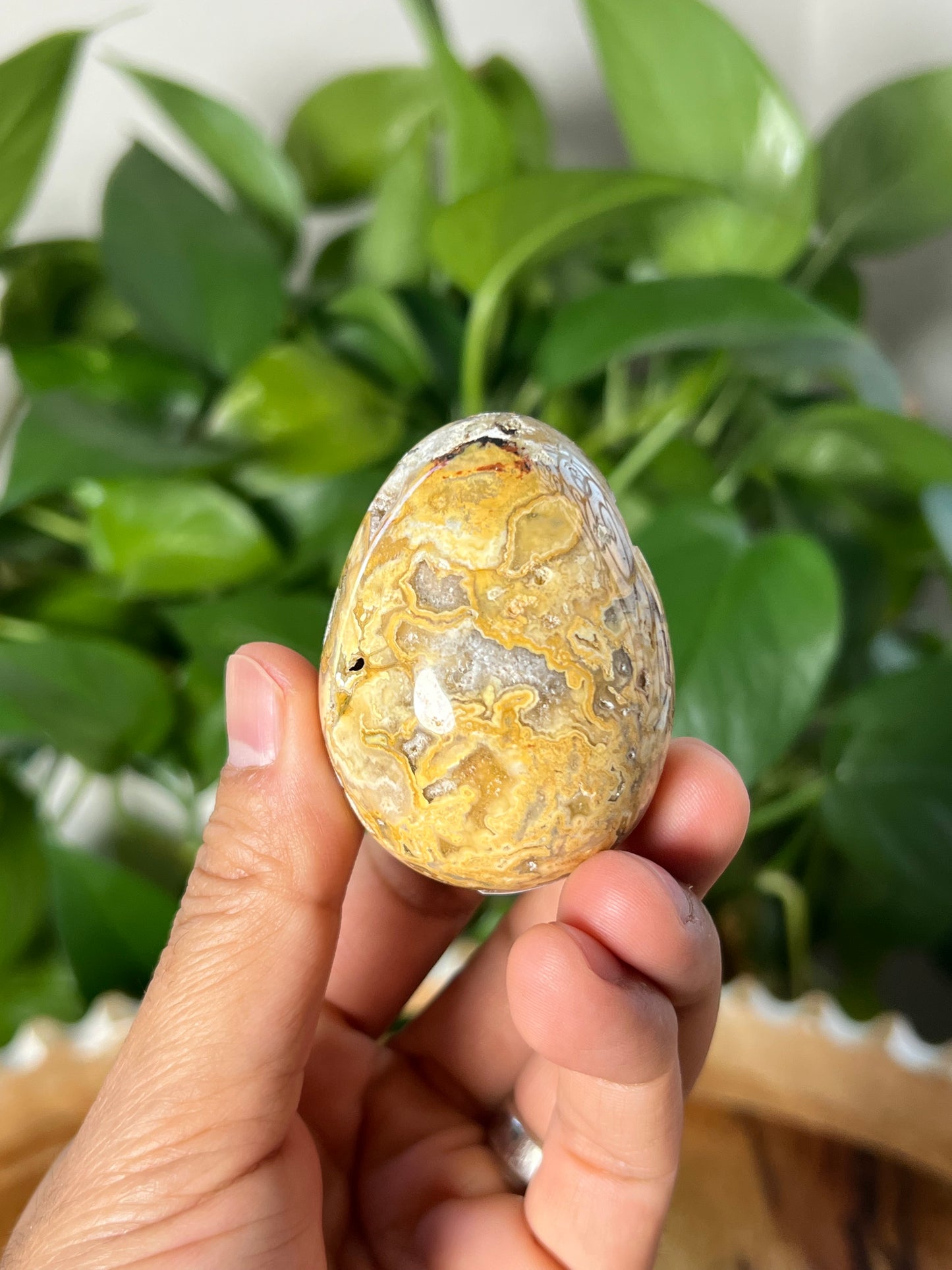 Crazy Lace Agate Egg