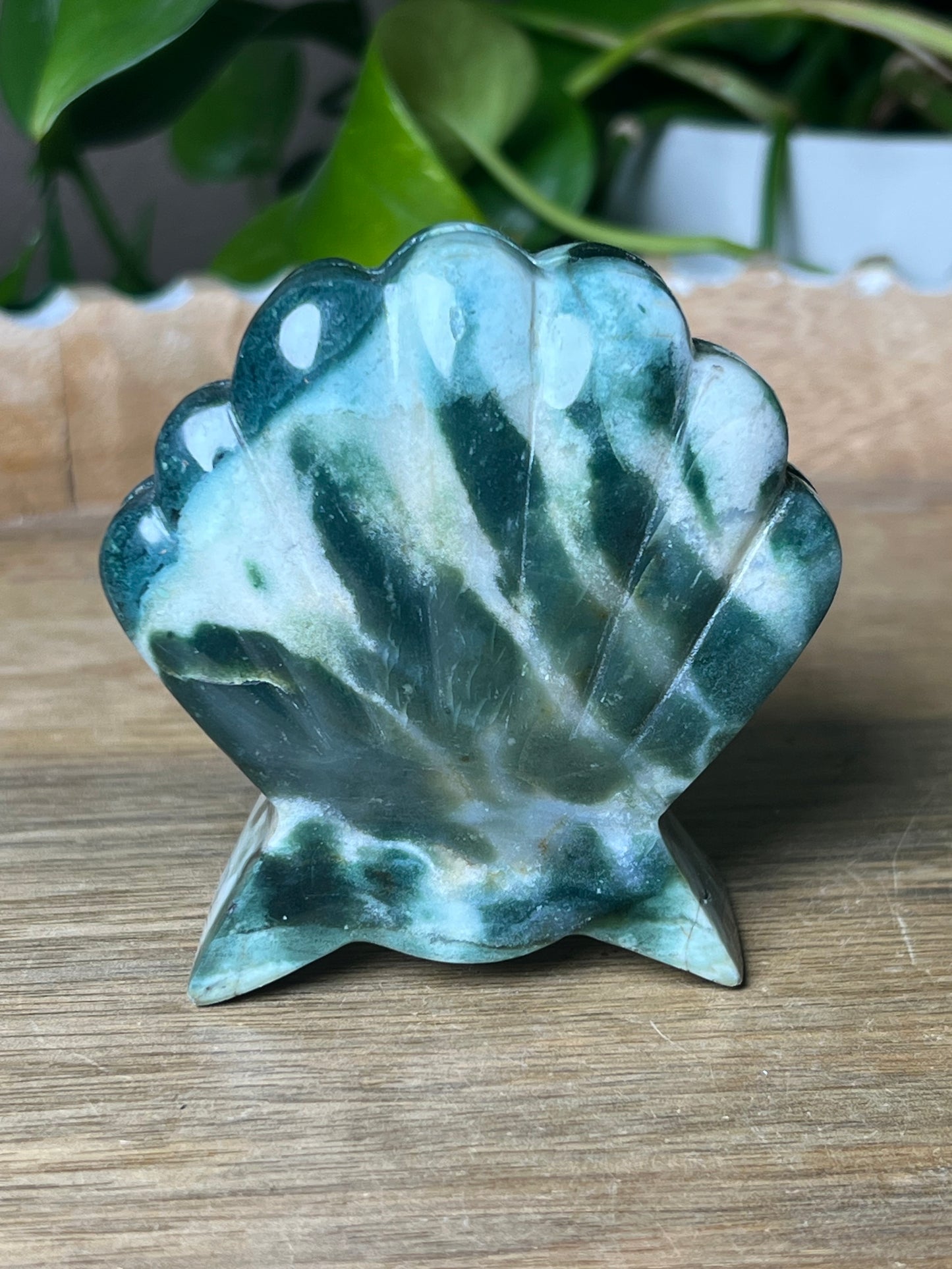Blue Green Jasper Shell