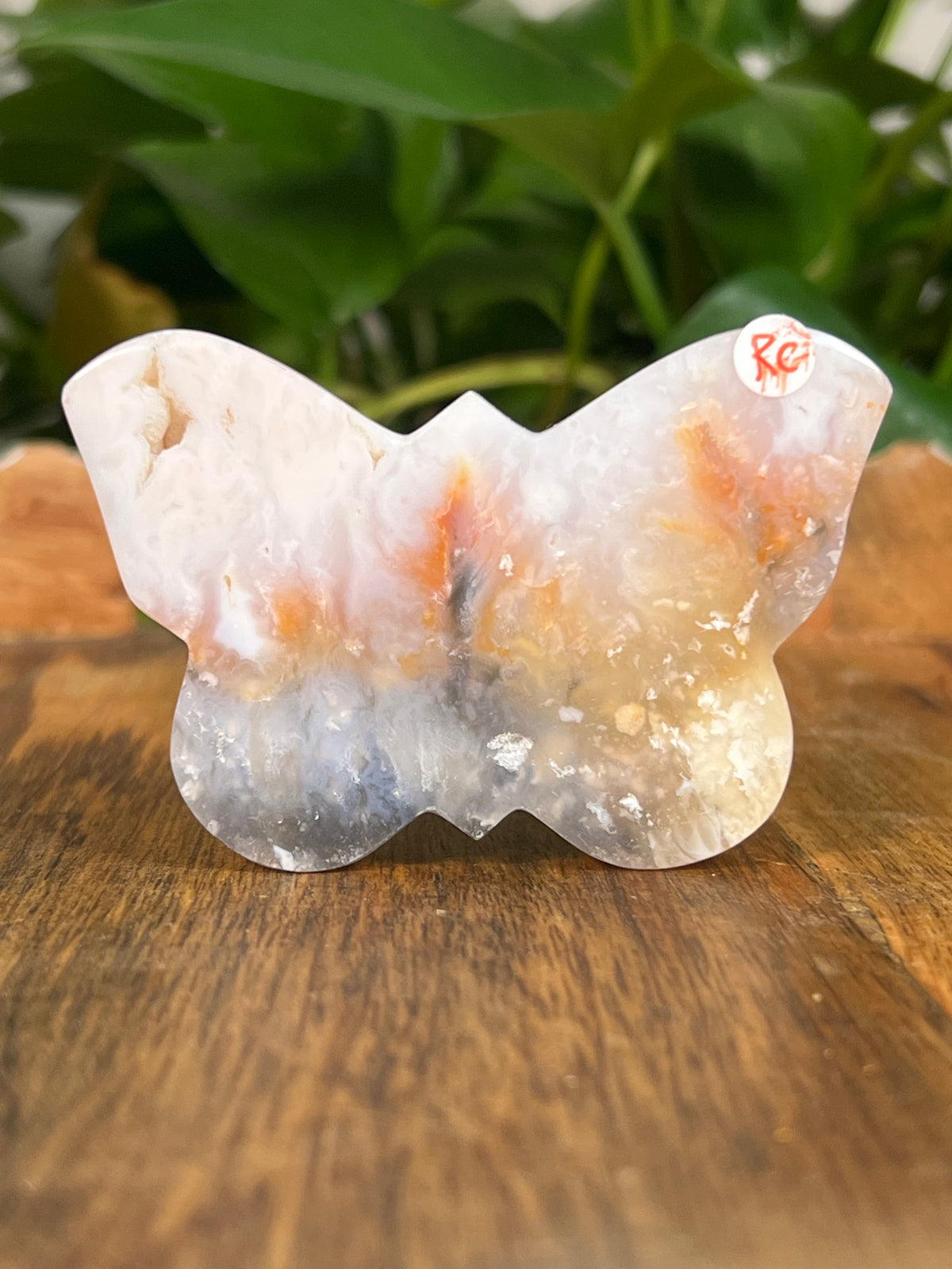 Rainbow Plume Agate Small Self Standing Butterflies