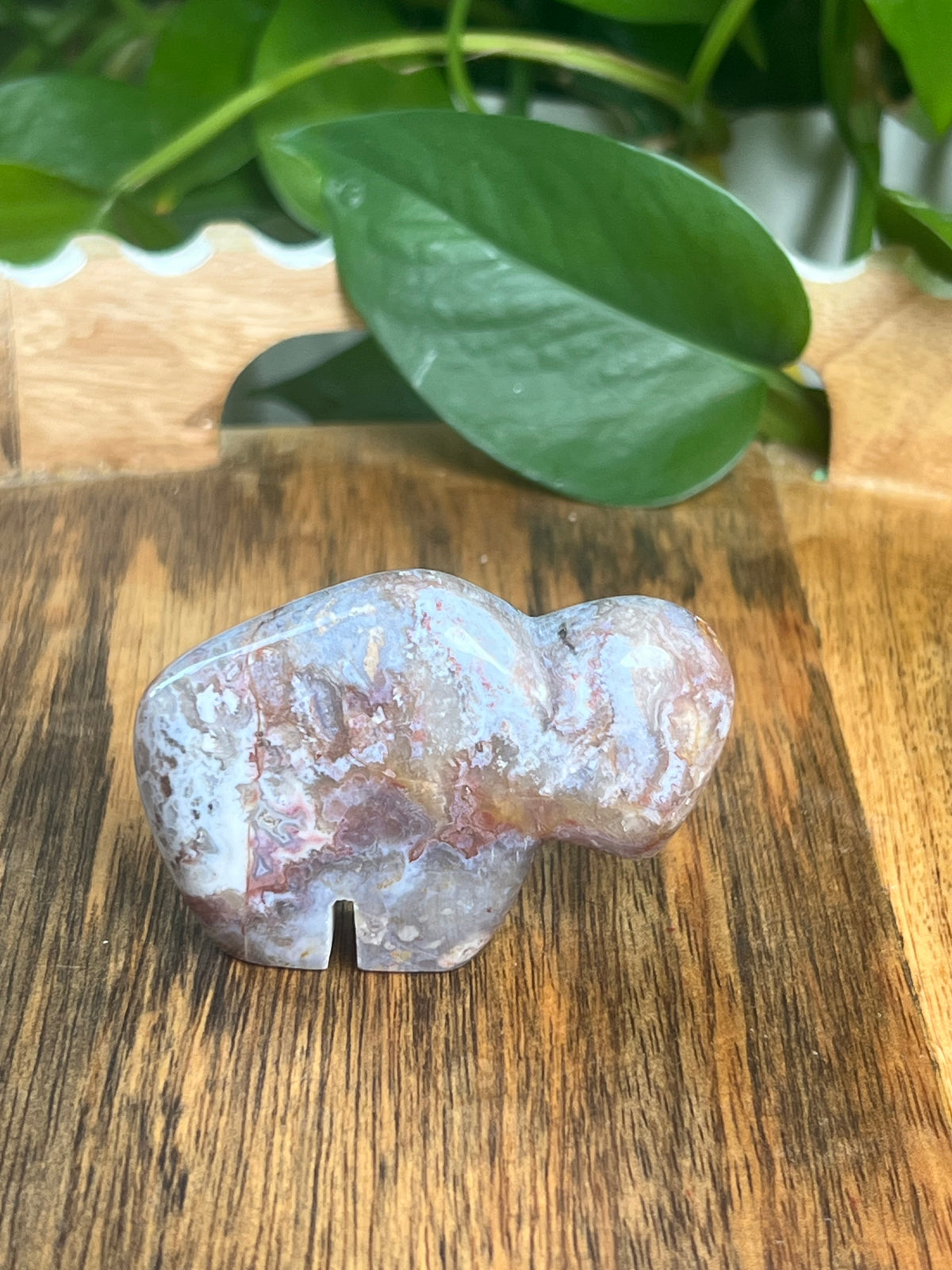 Sumatra Plume Agate Mini Buffalo: DC