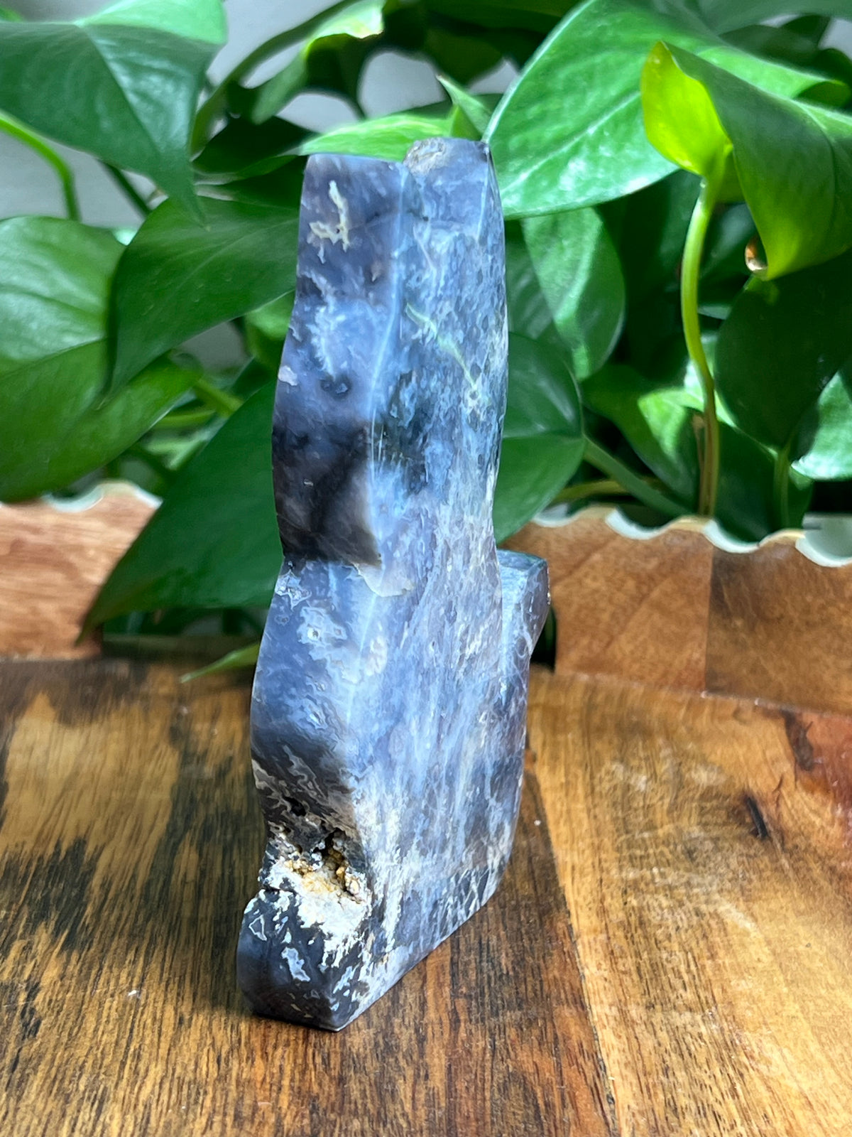 Blue Plume Agate Cat: MA