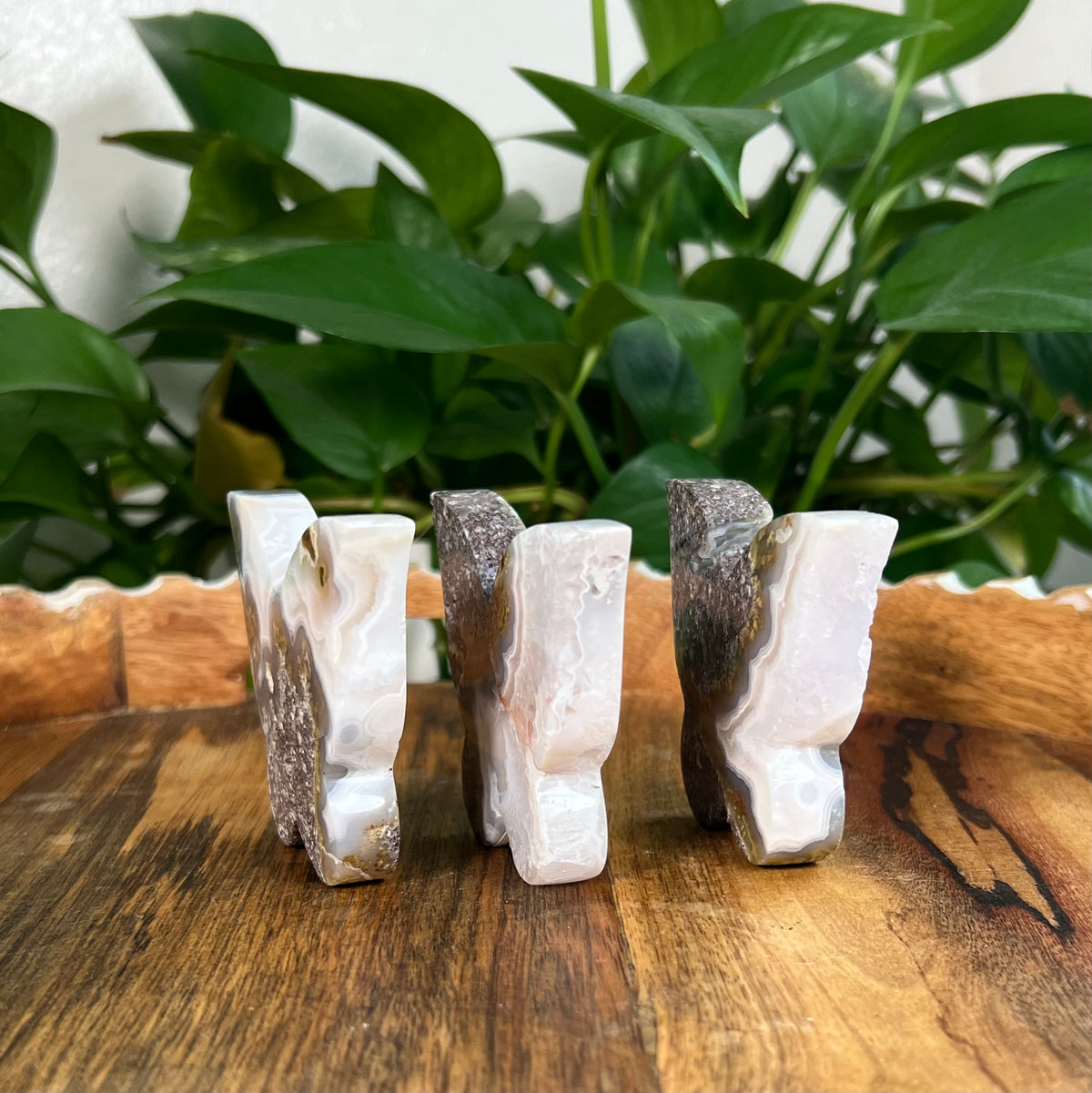 Scenic Moss Agate Butterflies