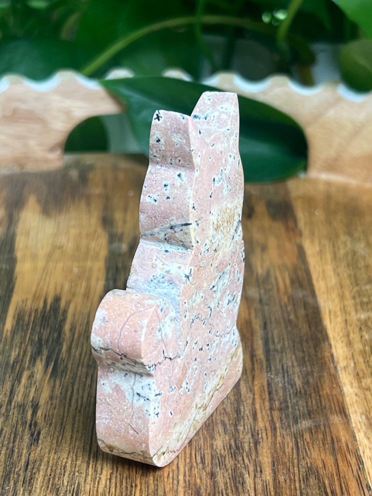Dendritic Jasper Cat: AC