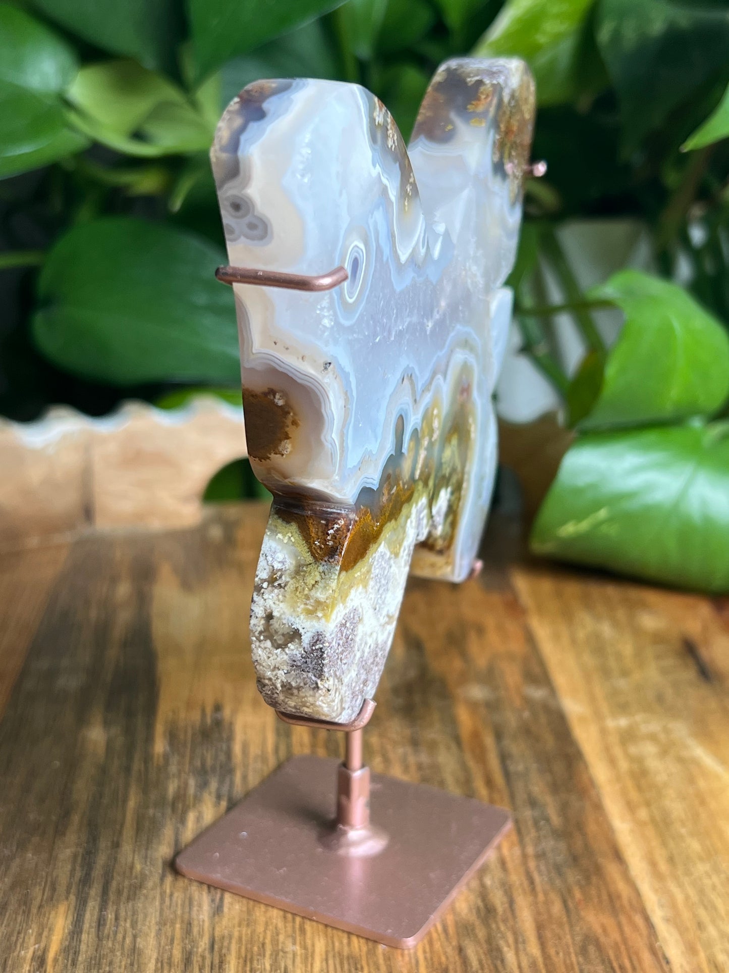Scenic Moss Agate Butterfly