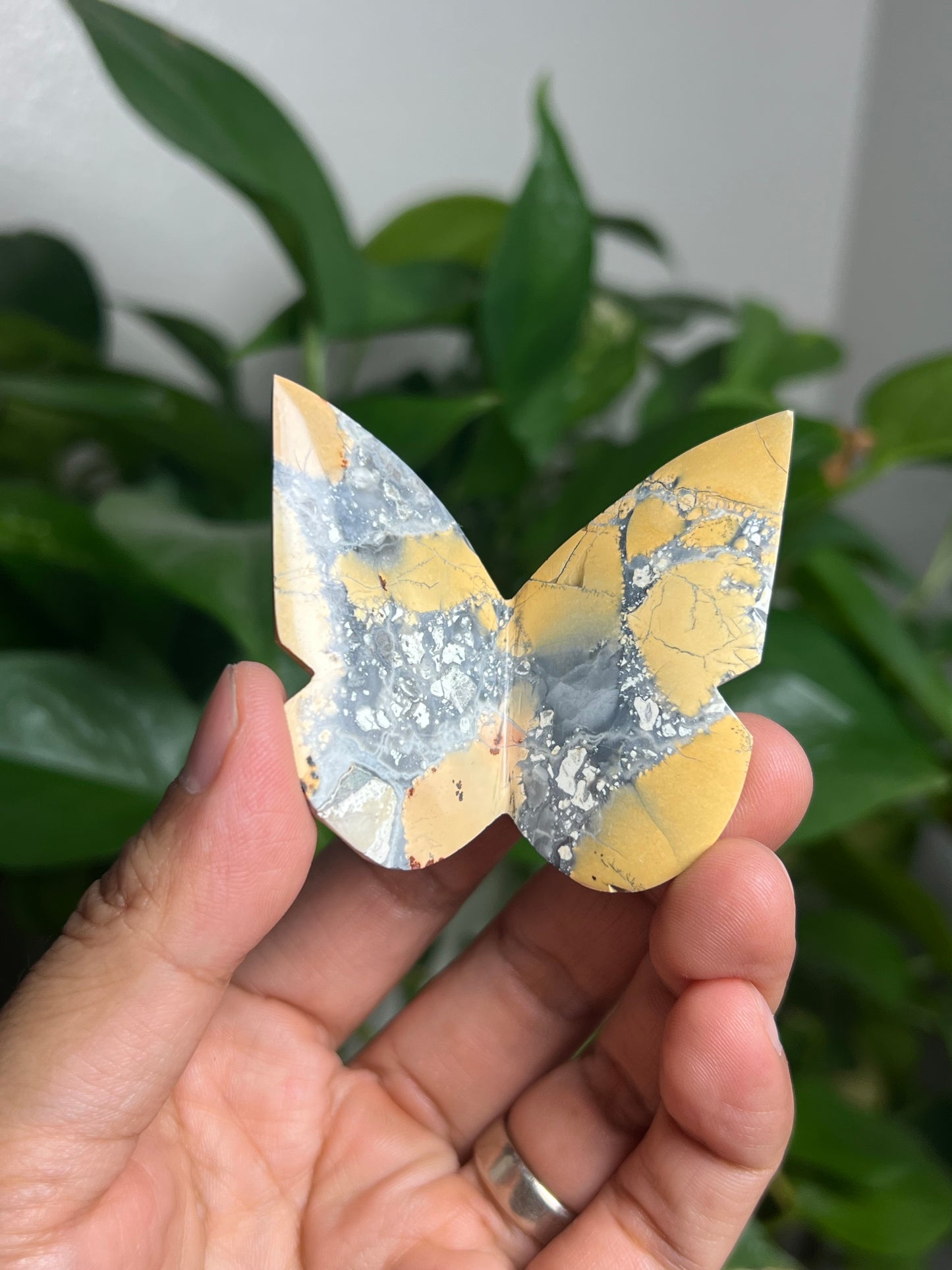 Maligano 3D Butterfly: BL