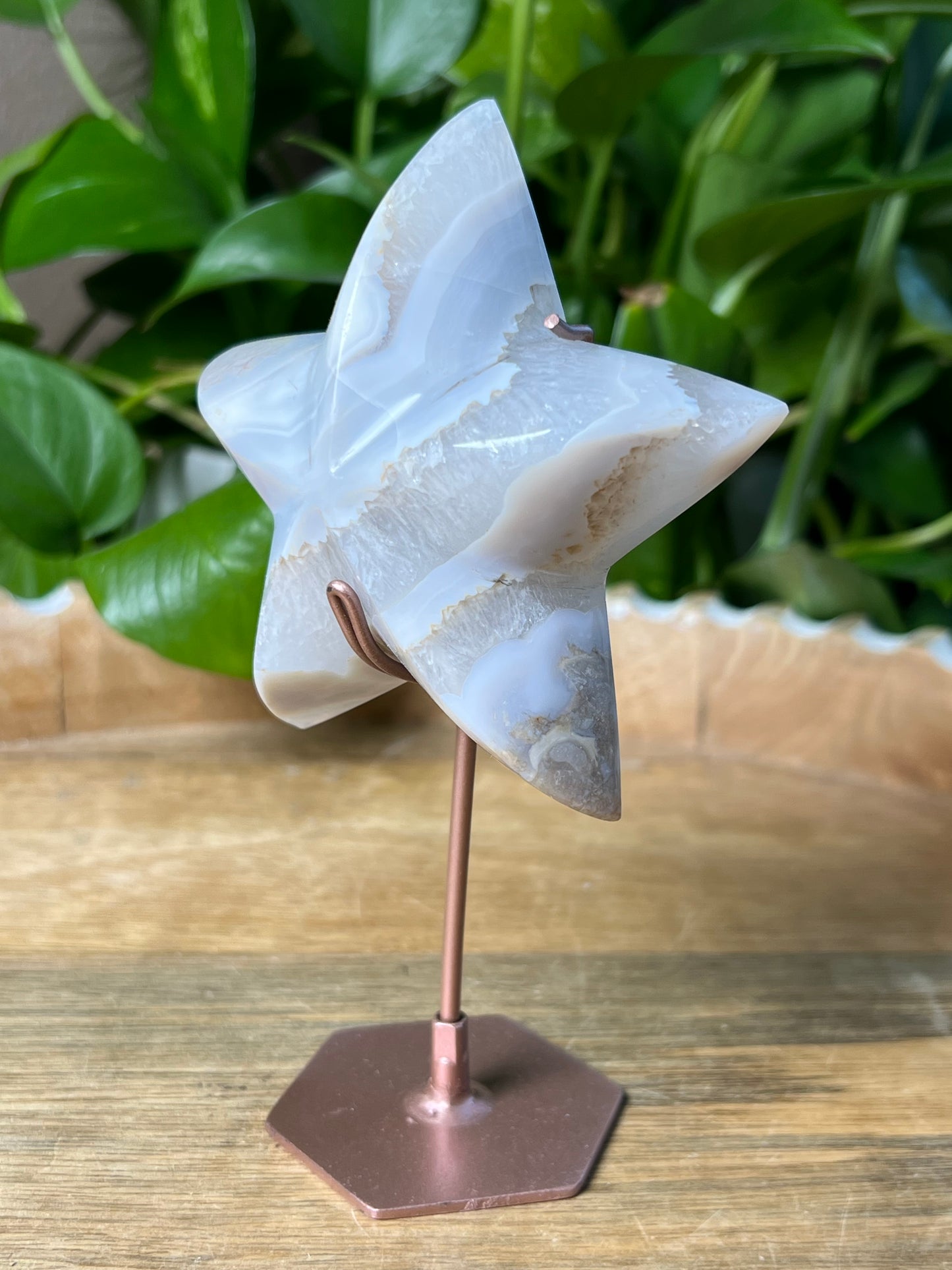Blue Grey Lace agate Star