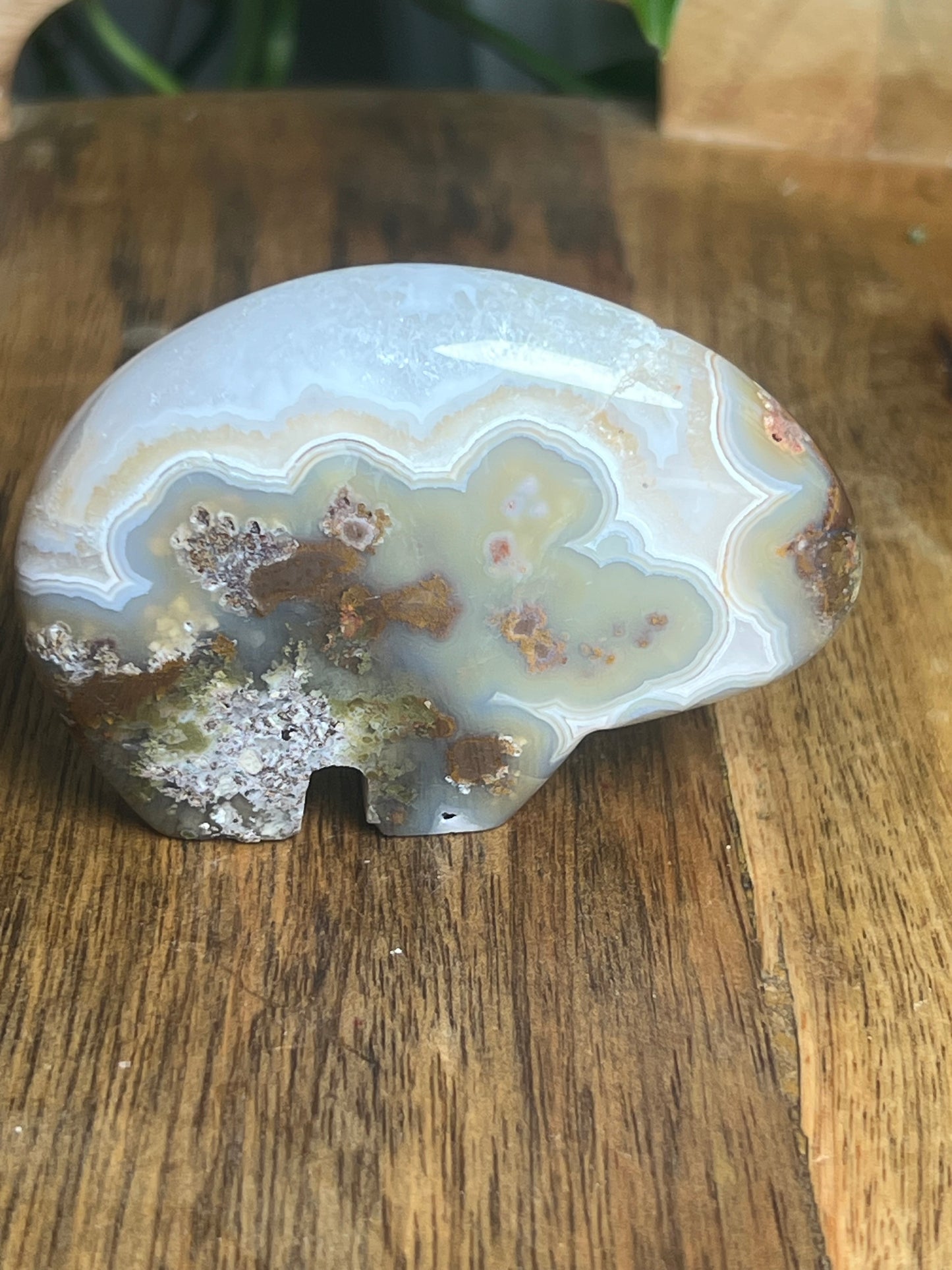 Scenic Moss Agate Bear NS