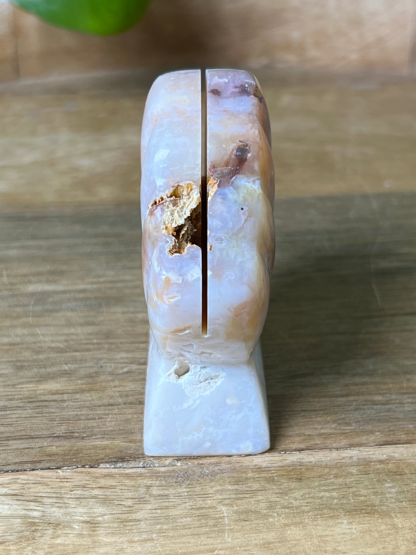 Rainbow Plume Agate Shell