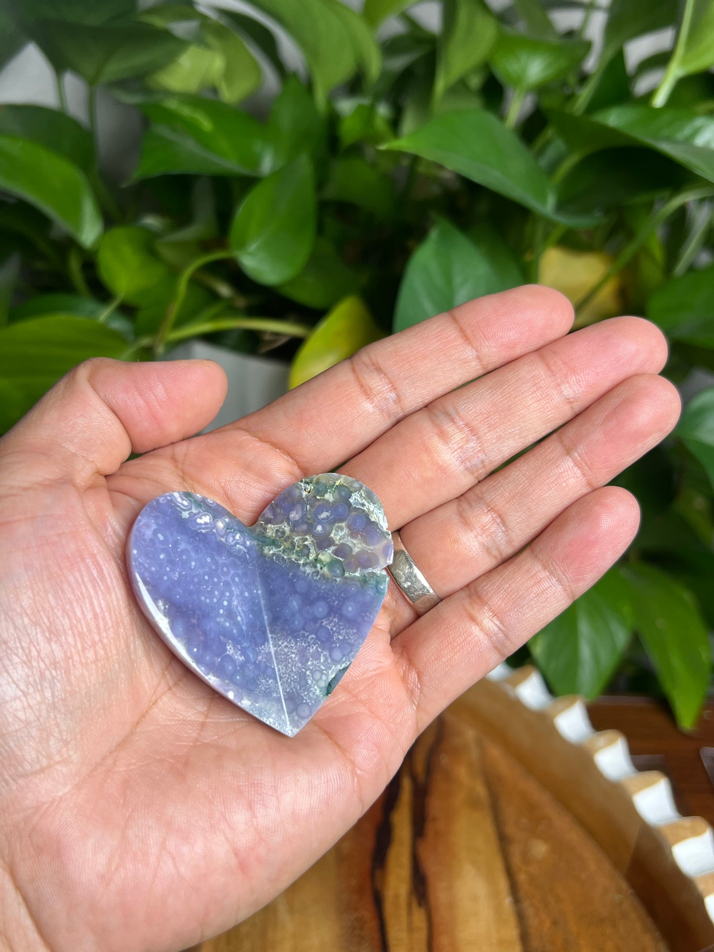 Grape Agate 3D Butterfly BX