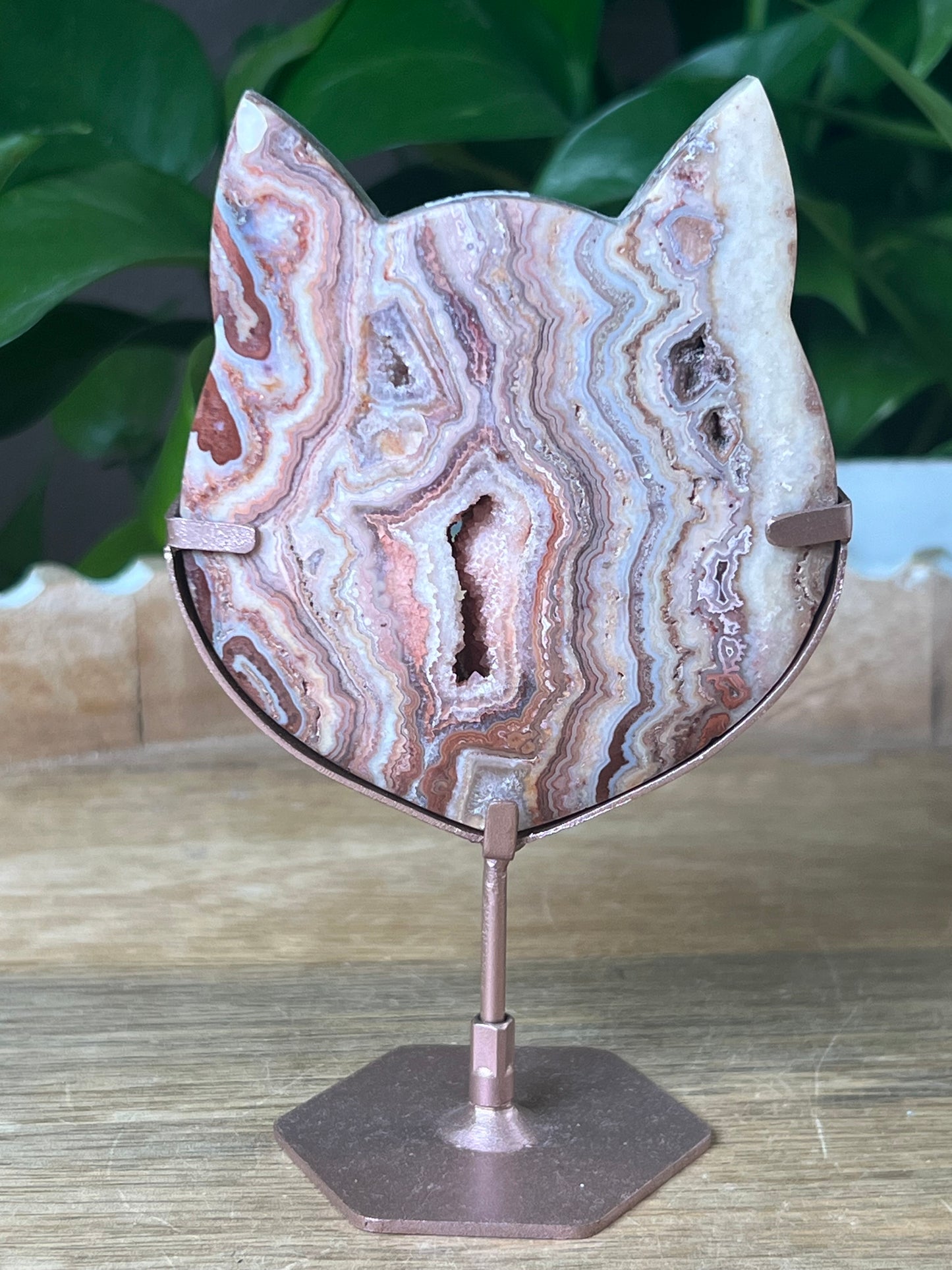Crazy Lace Agate Cat