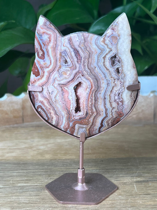Crazy Lace Agate Cat