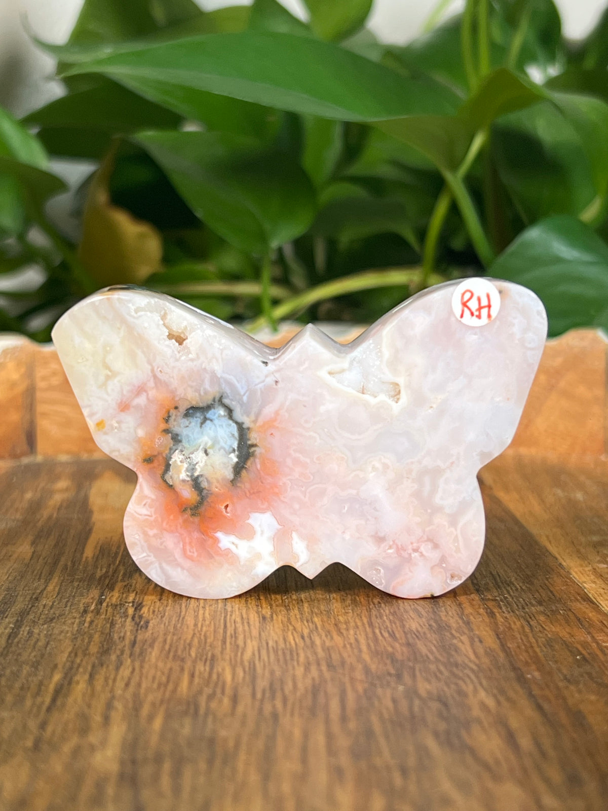 Rainbow Plume Agate Small Self Standing Butterflies