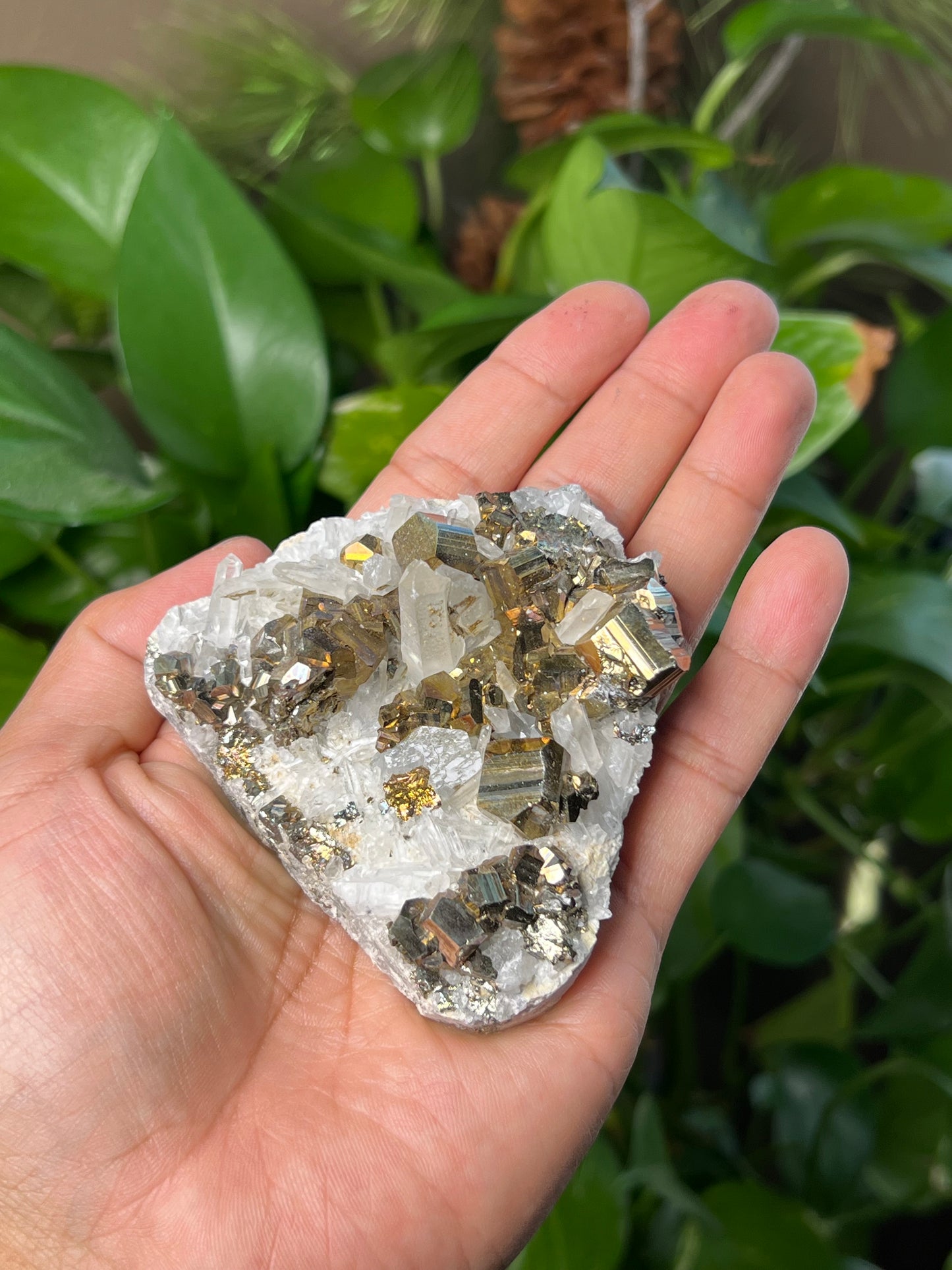 Rainbow Pyrite Quartz