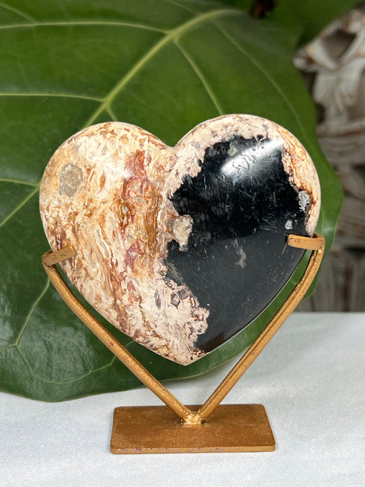 Palm Root Heart