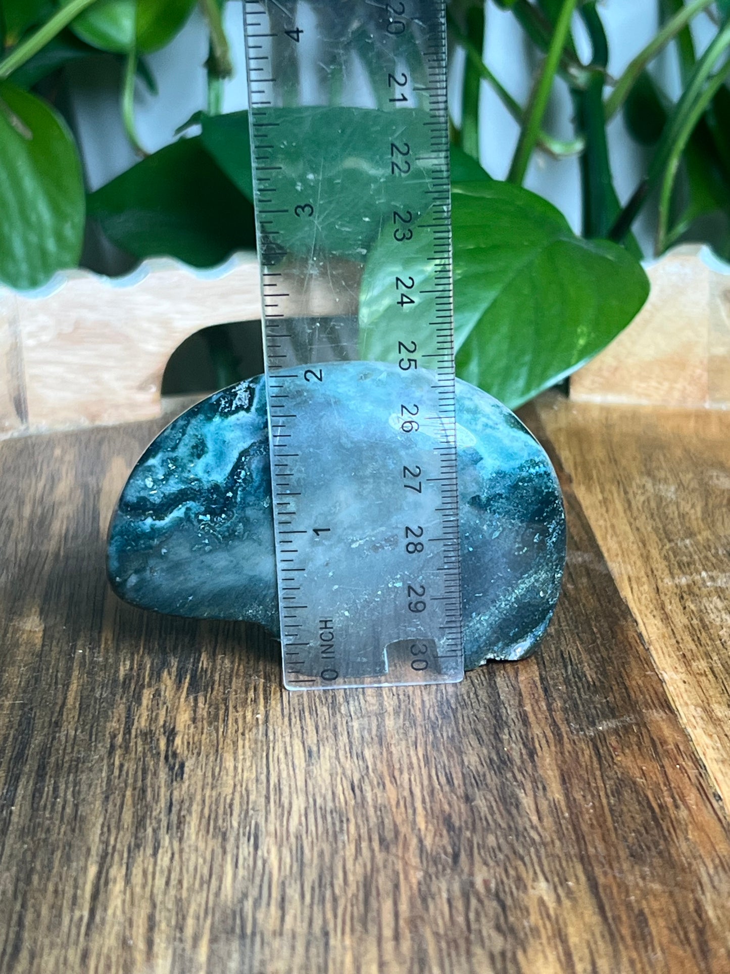 Blue Green Jasper Bear: K