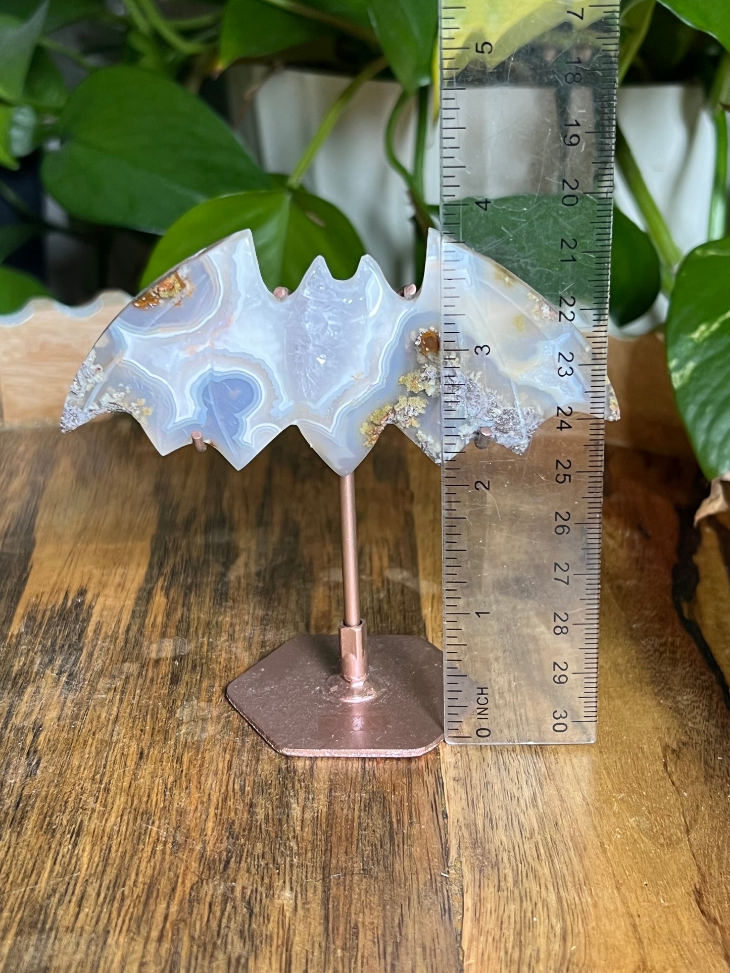 Scenic Moss Agate Bat