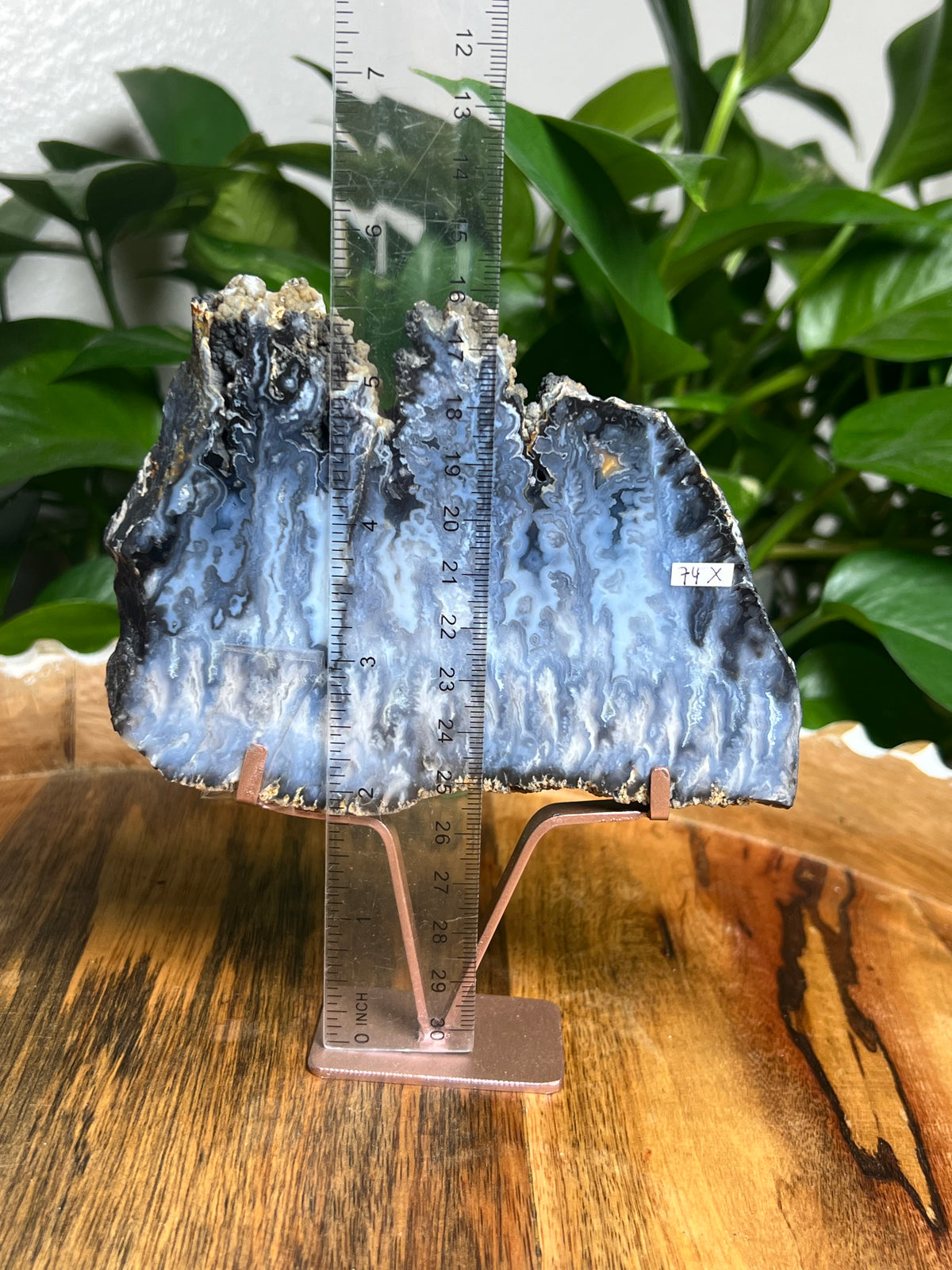 Blue Plume Agate Slab: X