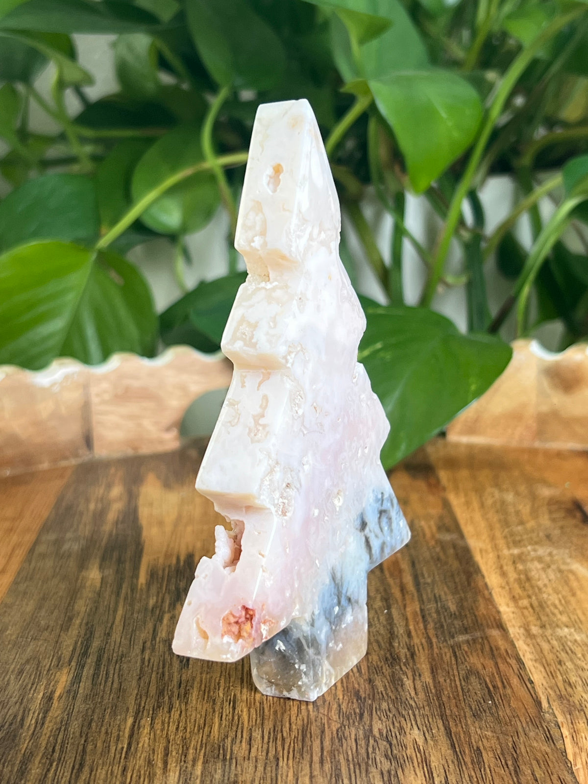 Rainbow Plume Agate Tree: DB