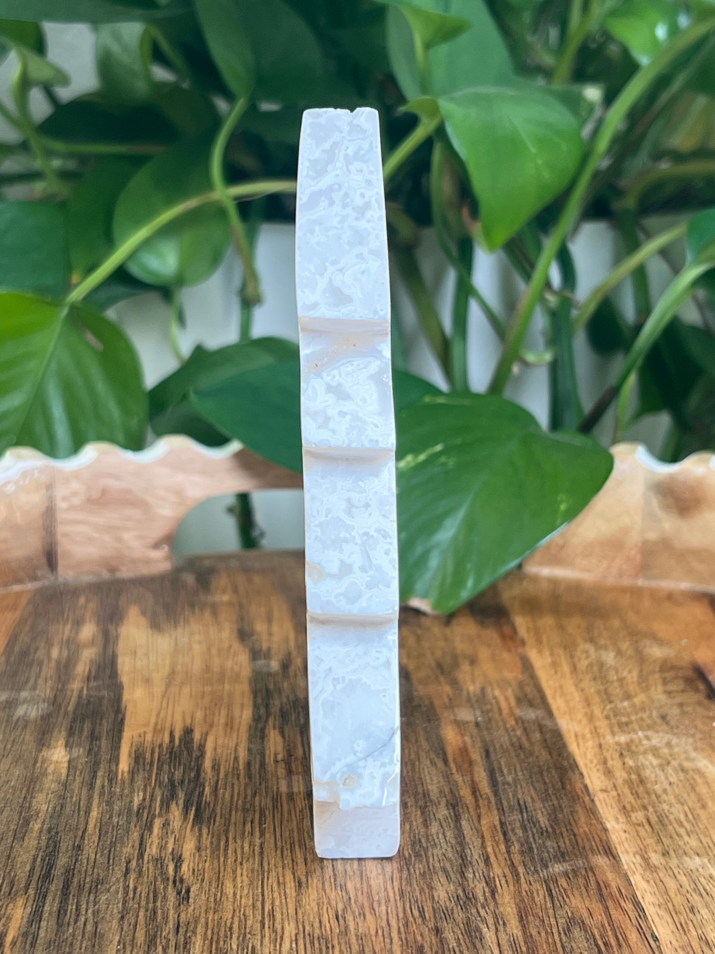 White Plume Agate Tree: DC