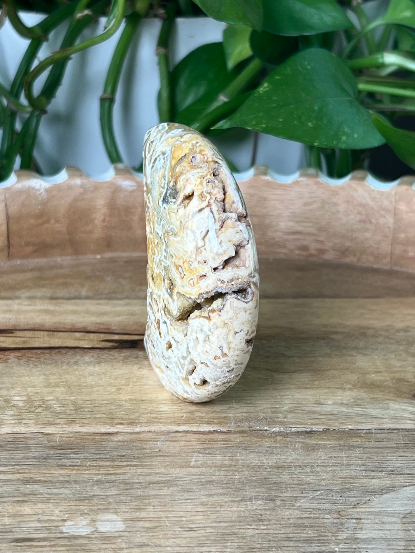 Crazy Lace Agate Moon
