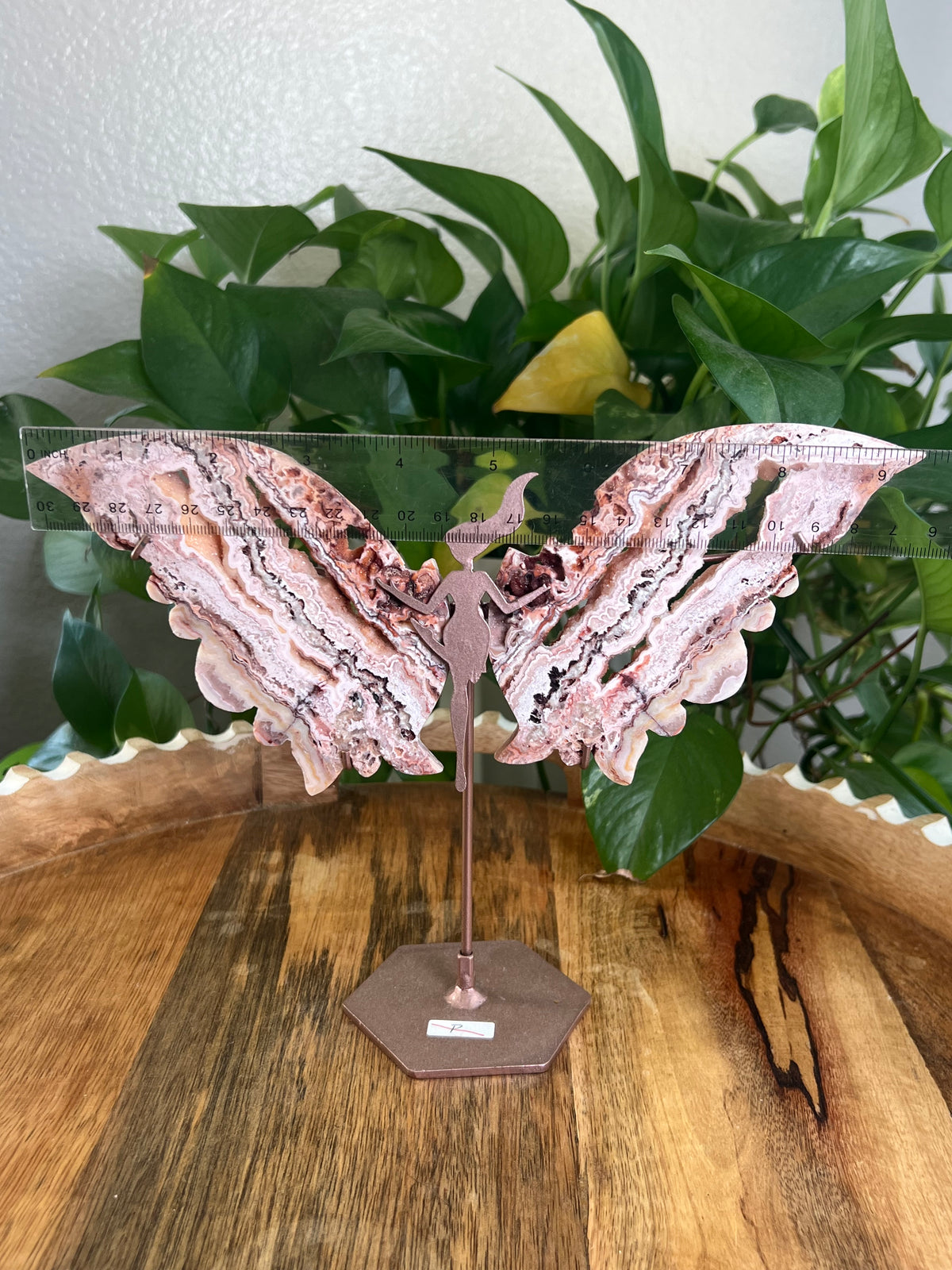 Crazy Lace Agate Wings P
