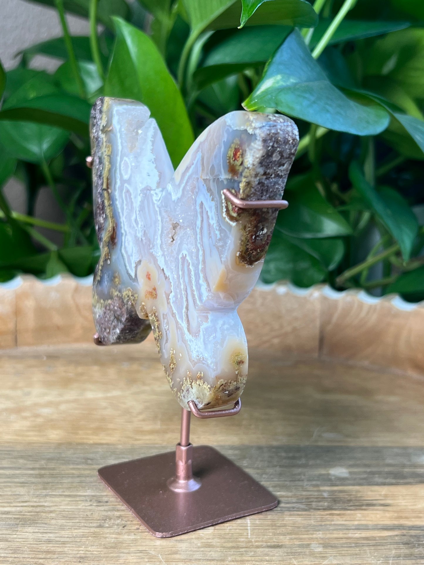 Scenic Moss Agate Butterfly