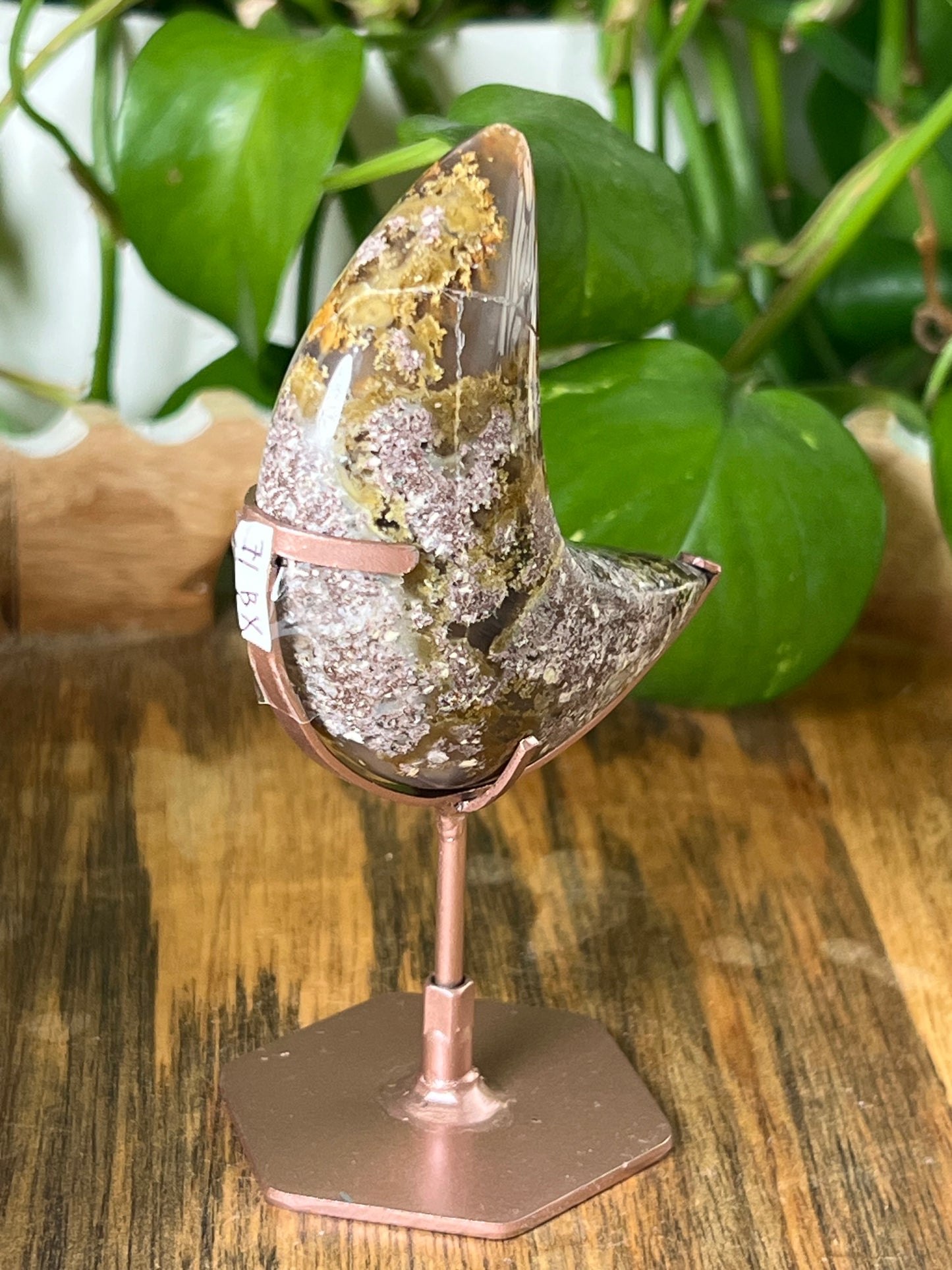 Scenic Moss Agate Moon